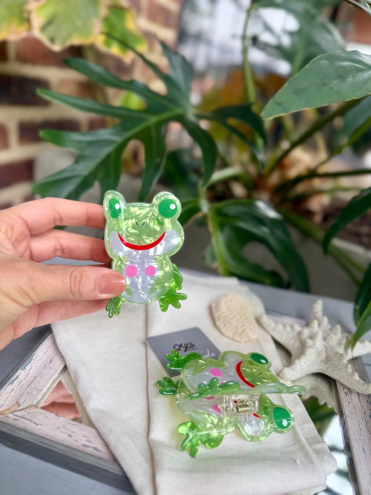 Caimán rana 🐸