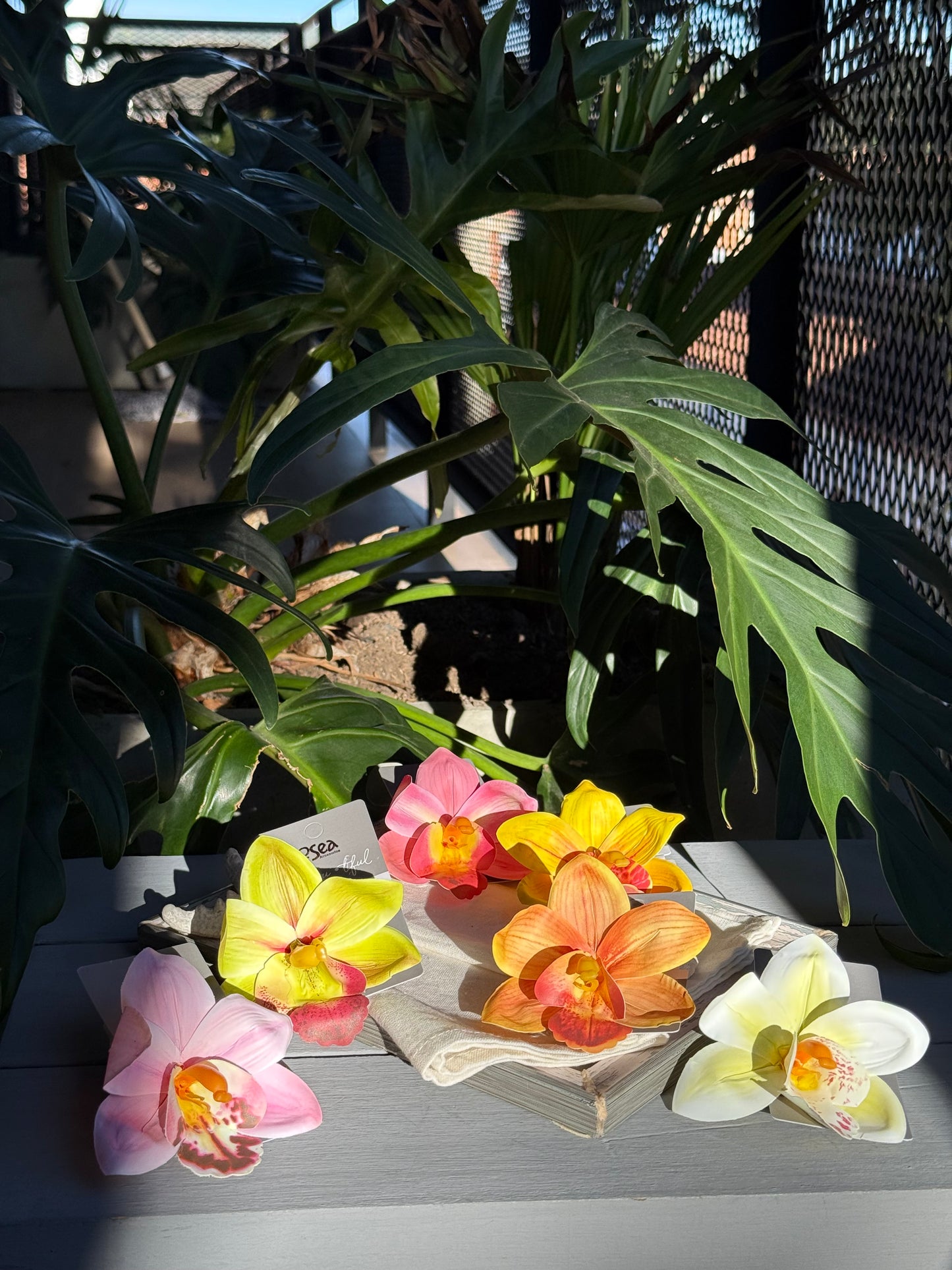 Flor con pinza pico de loro