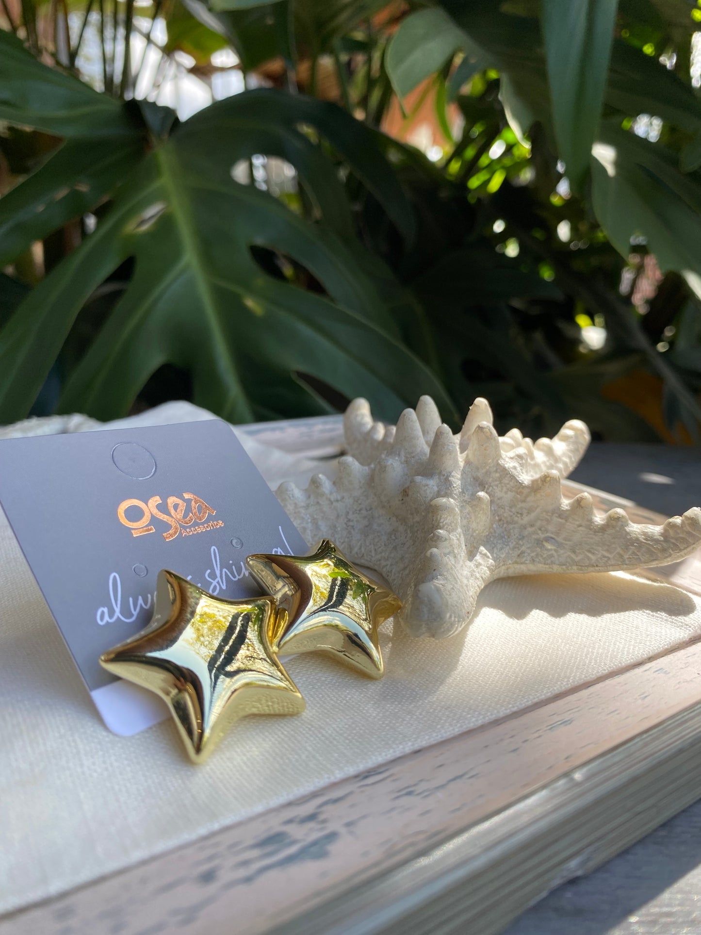 Topos rodinados de estrella chunky