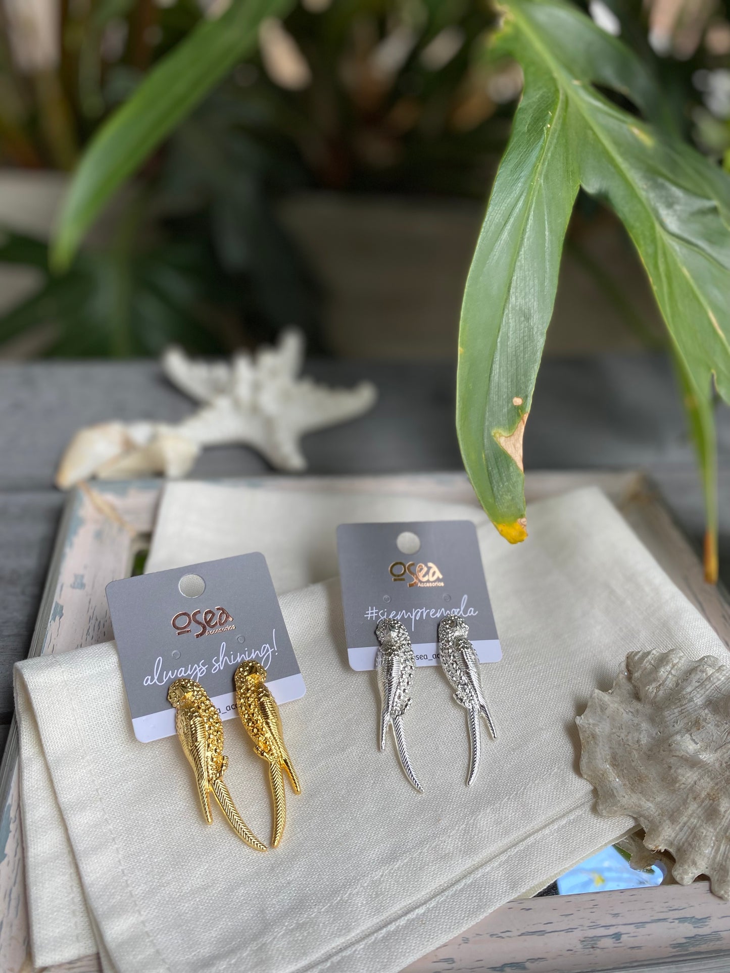 Aretes de loros baño en oro y plata