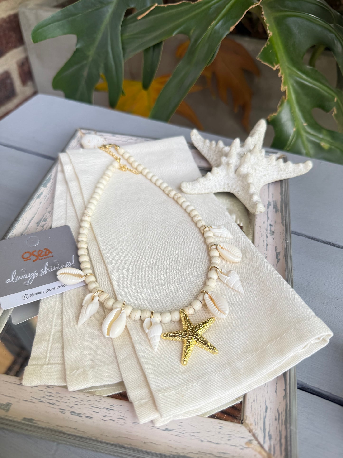 Collar conchas y estrella