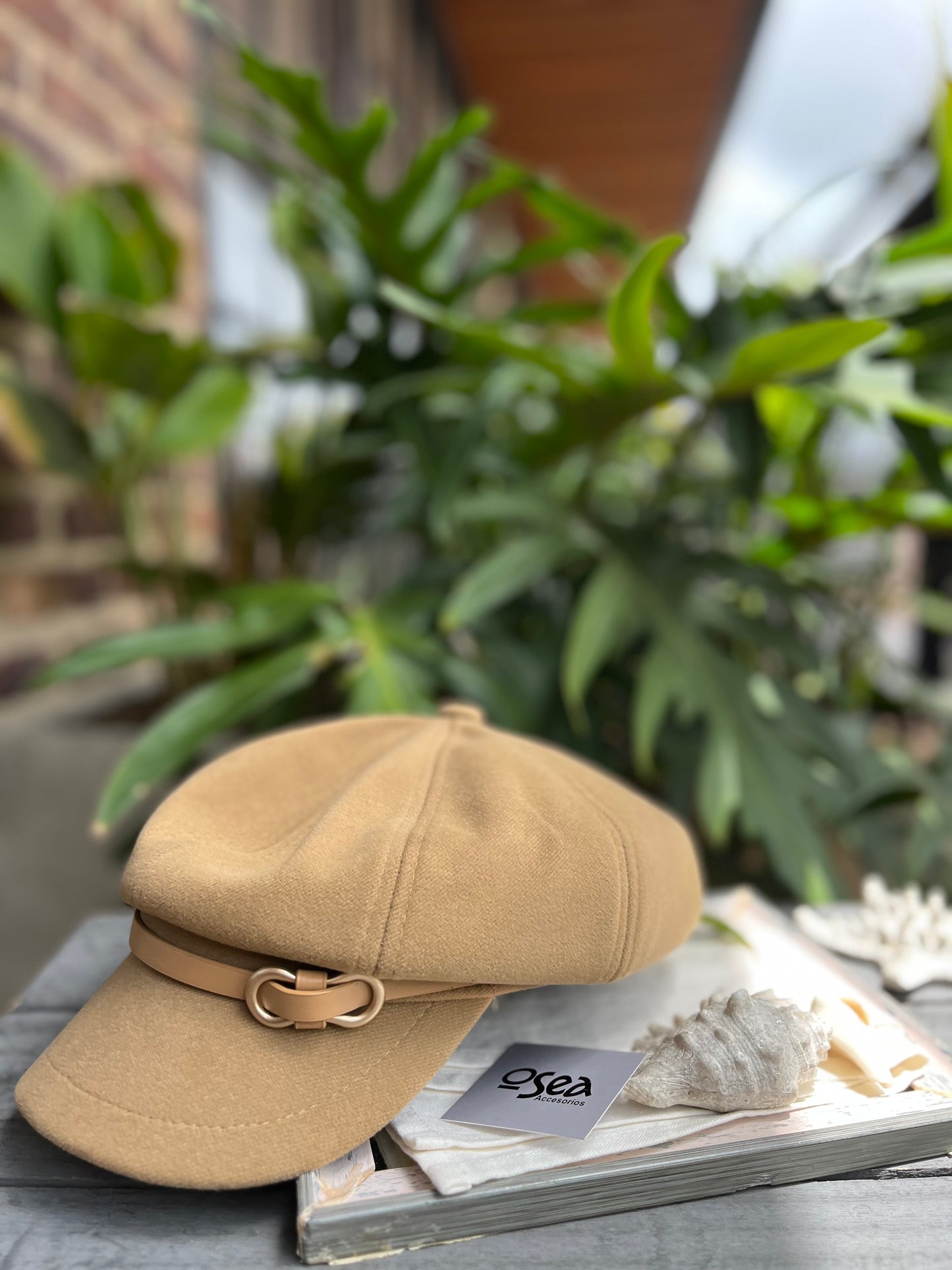 Boina parís con visera