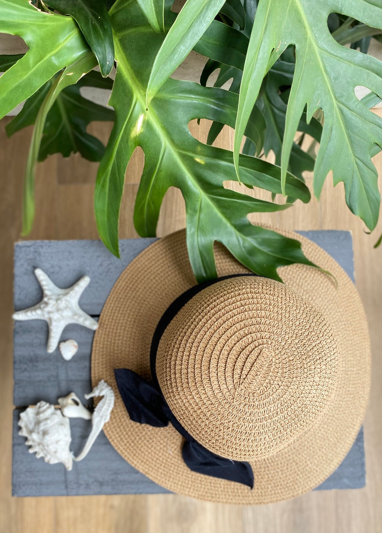 Sombrero moño cinta negra