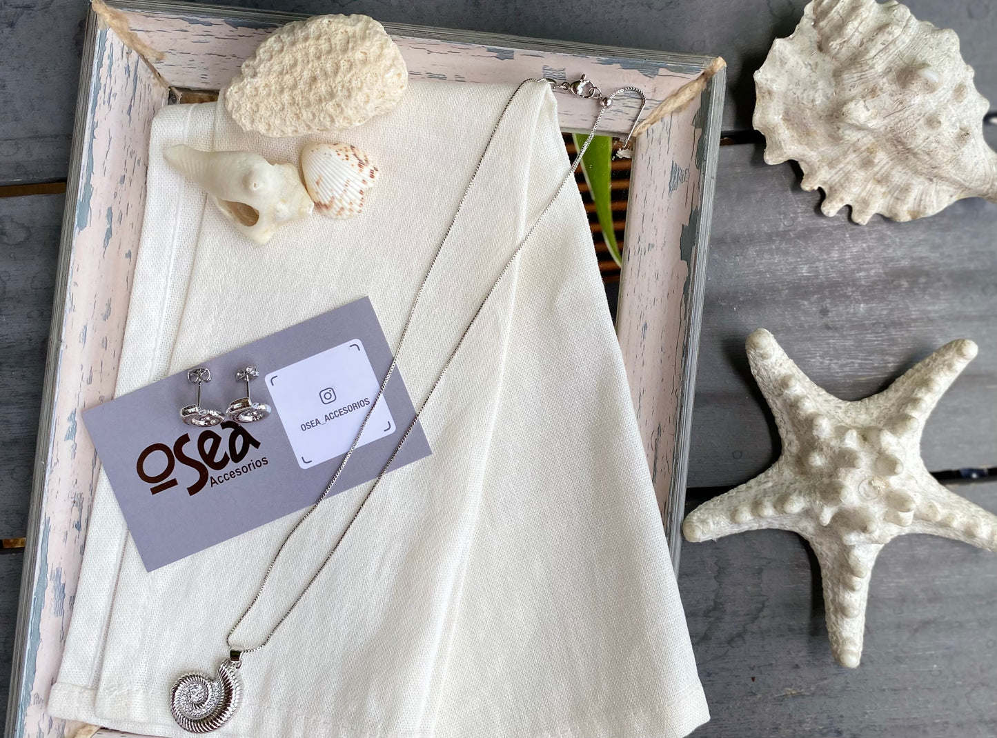 Set collar y topos caracol de mar