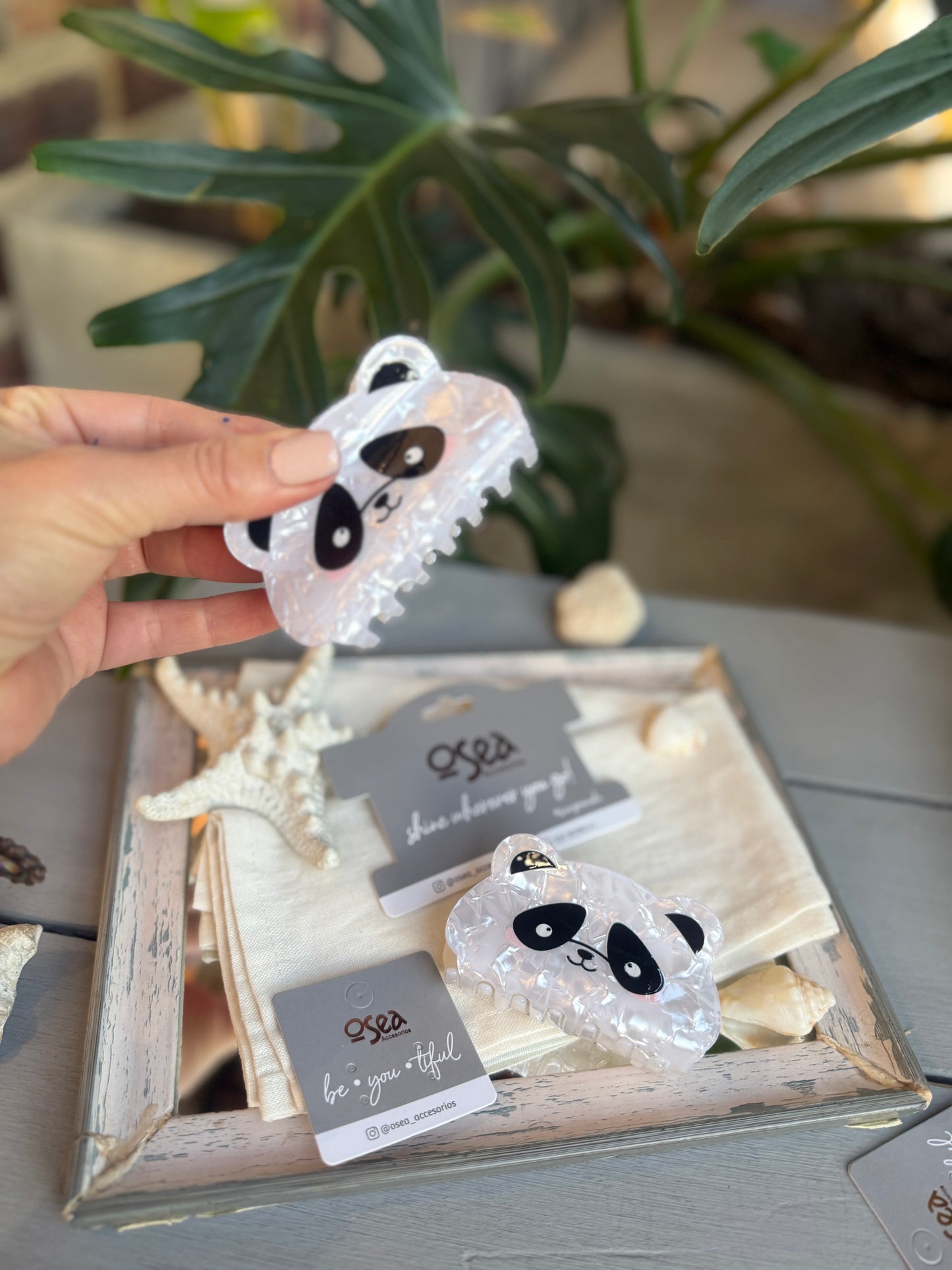 Caimán nácar oso panda