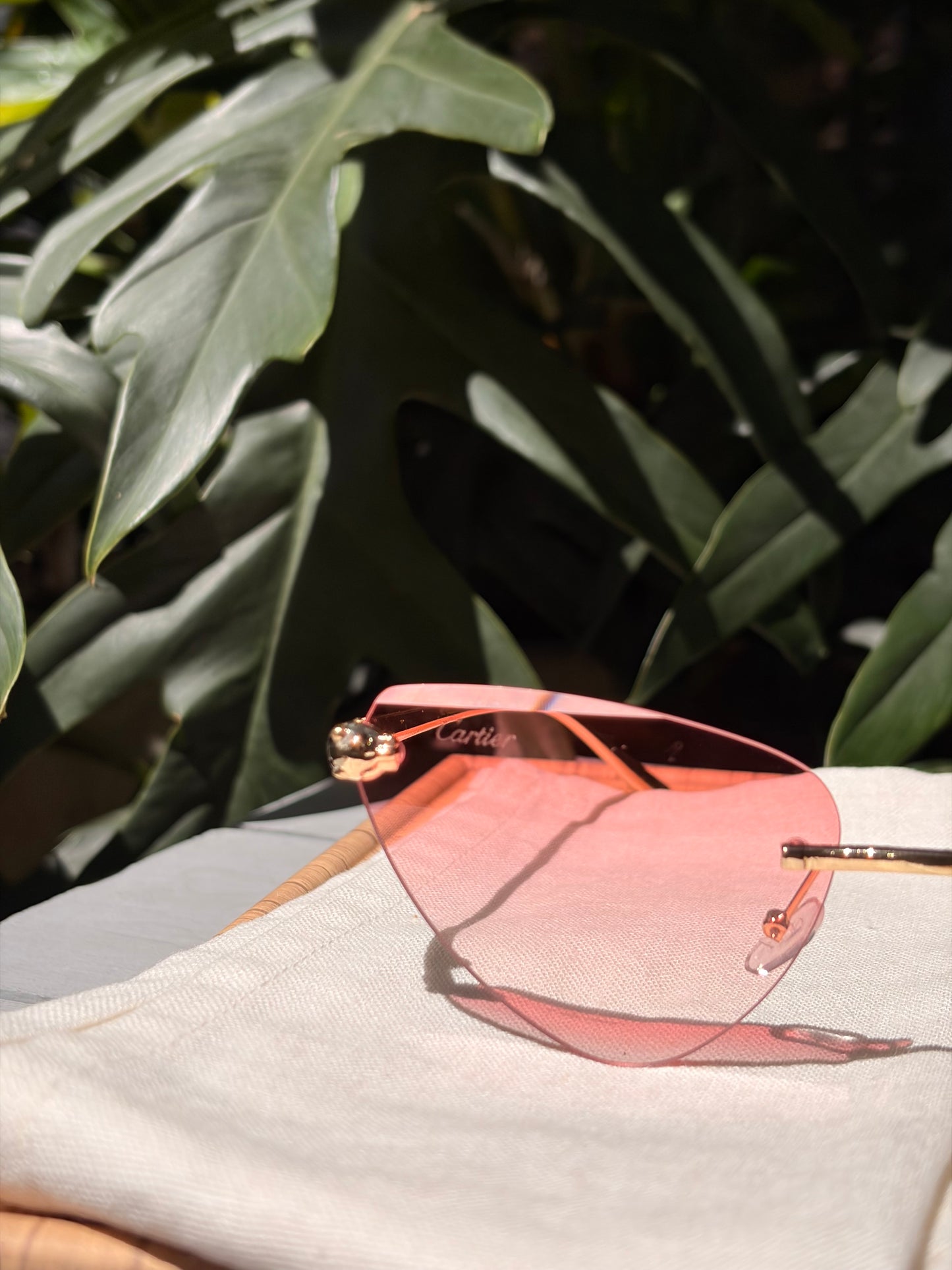 gafas de sol pantera