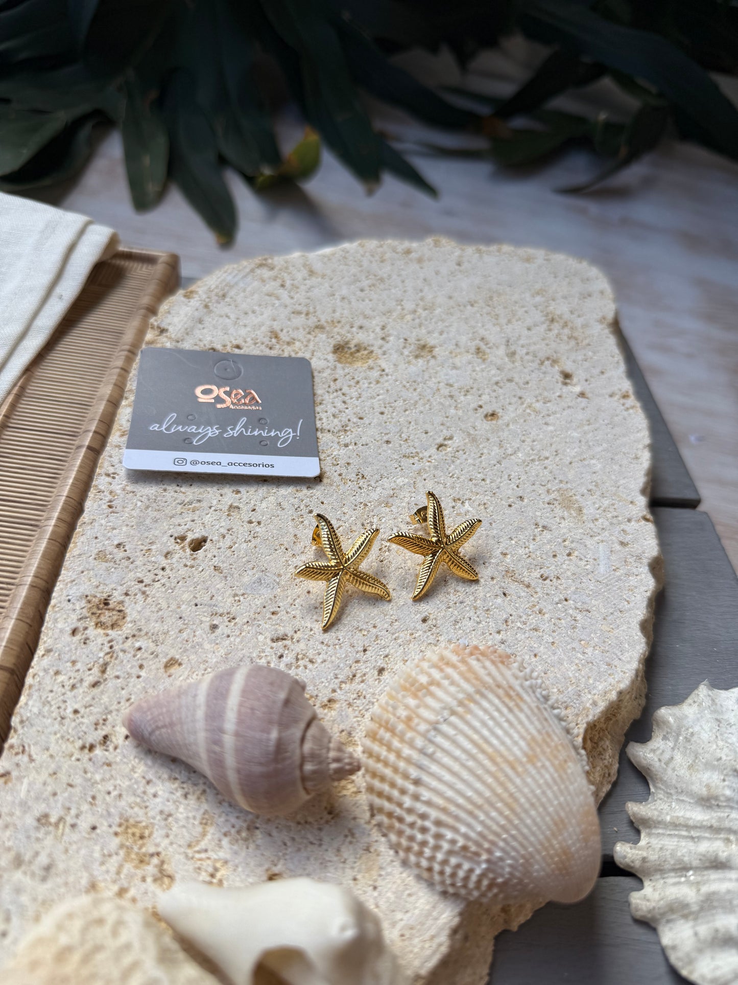 Topo estrella de mar mediano 24k