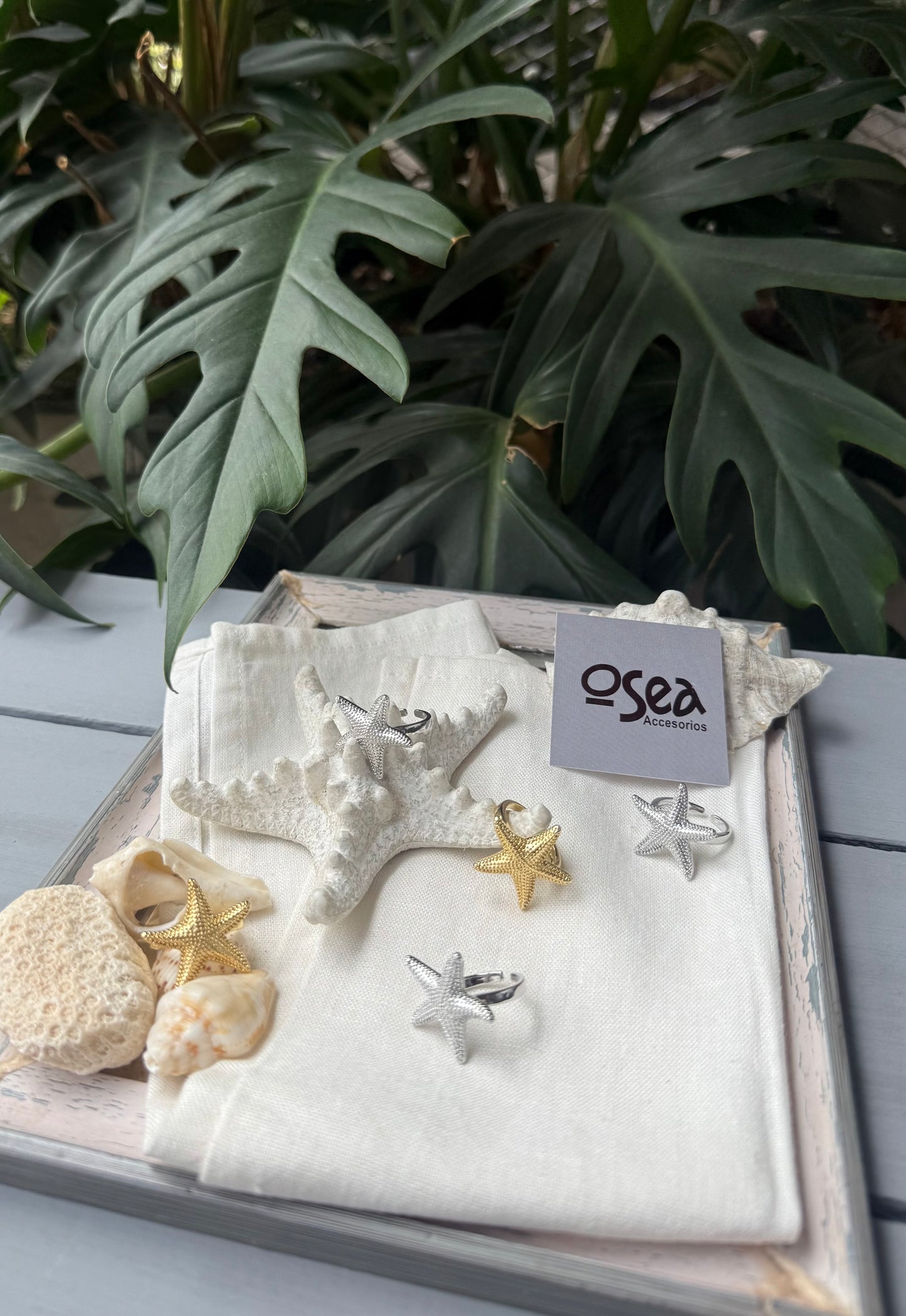 Anillo graduable estrella de mar