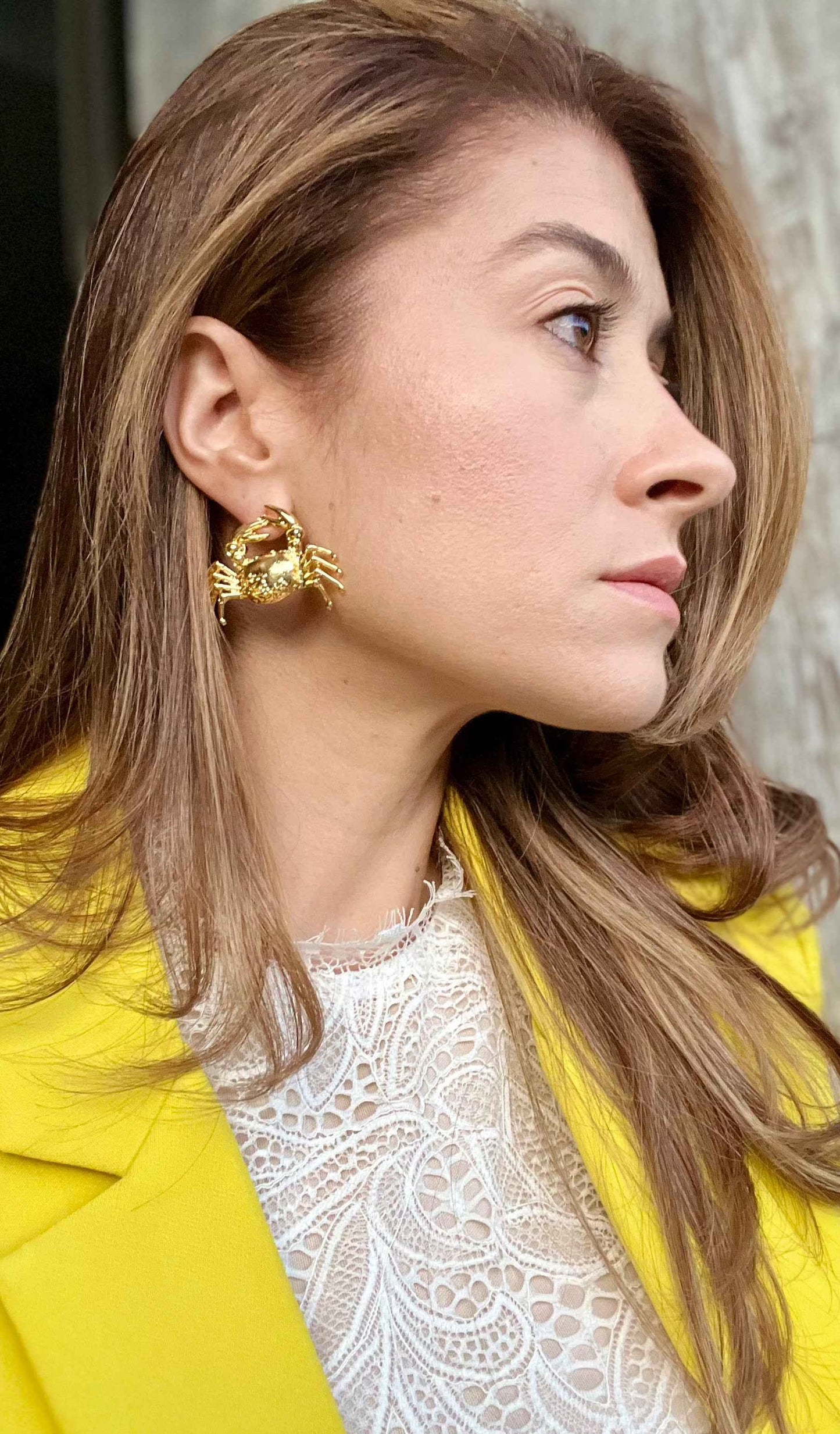 Aretes cangrejo grande 24k