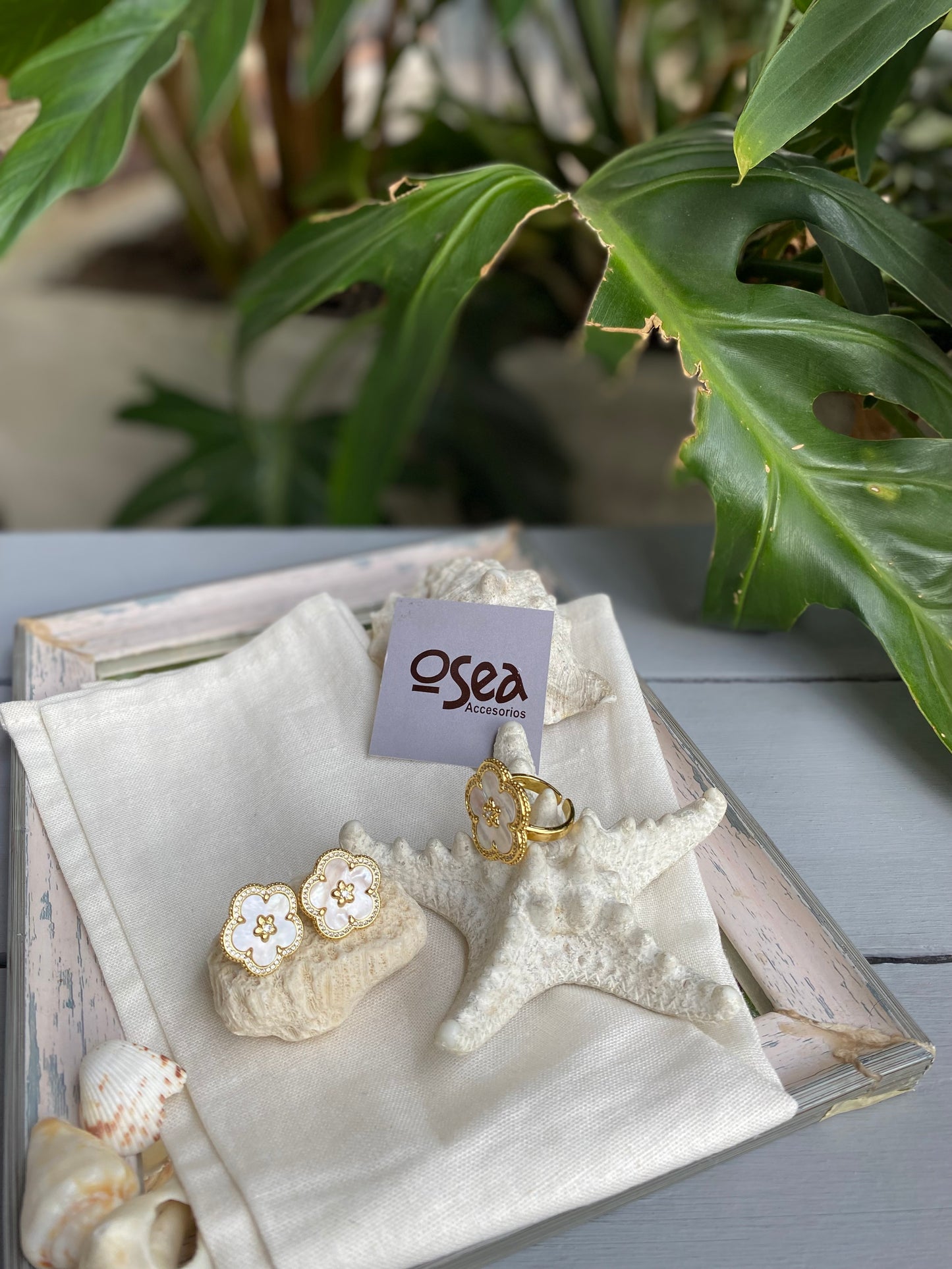 Set o conjunto anillo y topos flor nácar