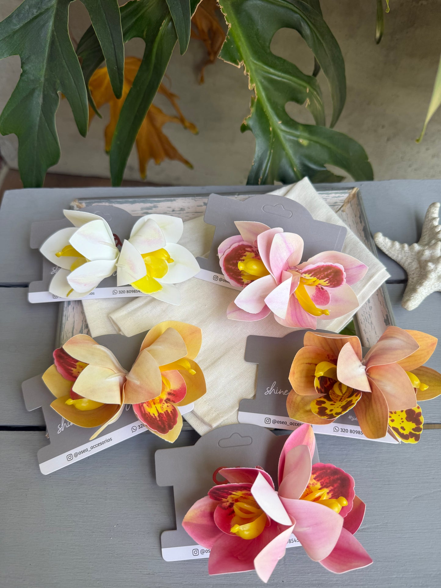 Pinza pico de loro orquídea doble