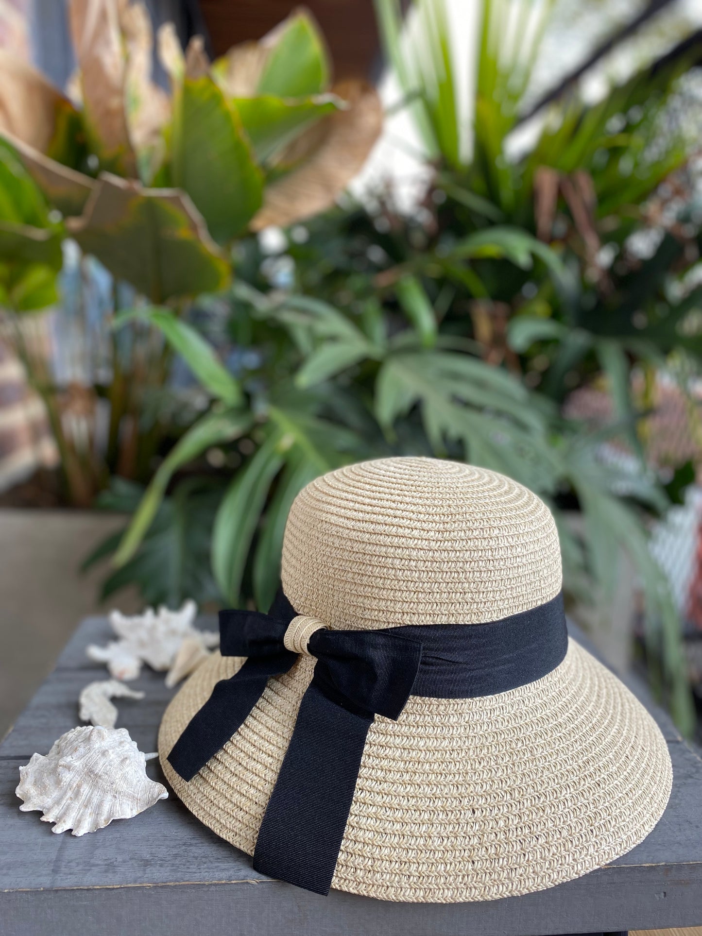 Sombrero cinta negra moño
