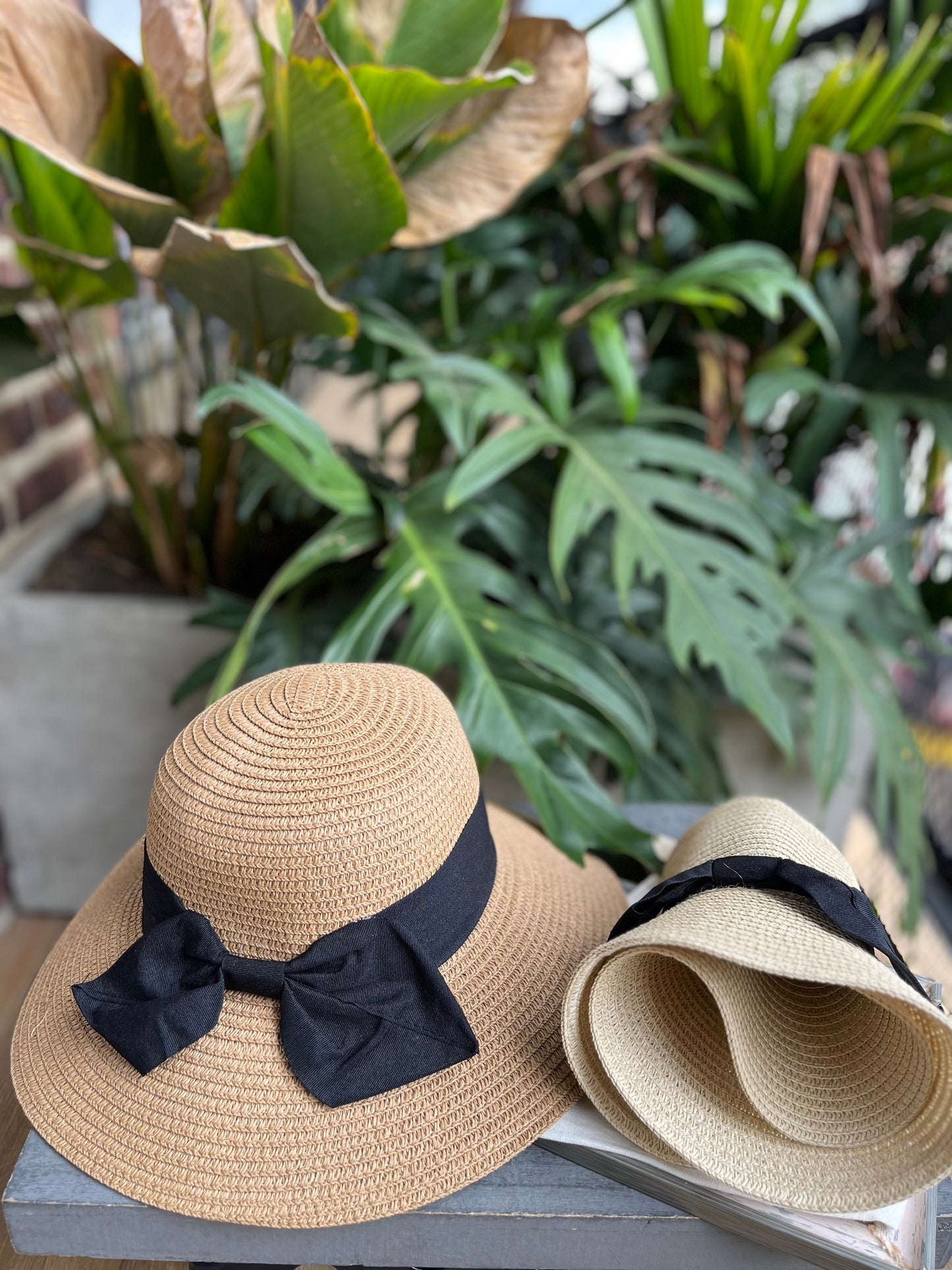 Sombrero moño cinta negra