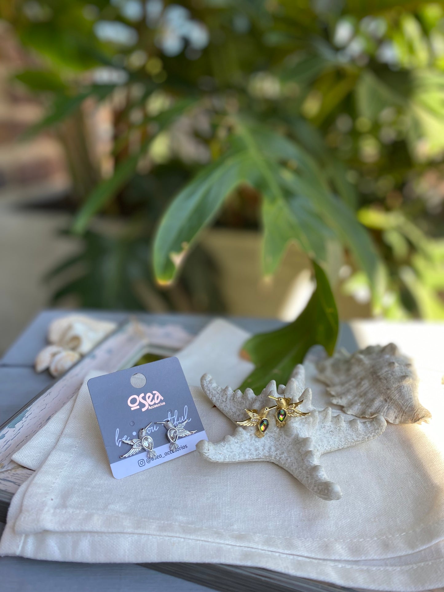 Topos rodinados de colibrí con piedras