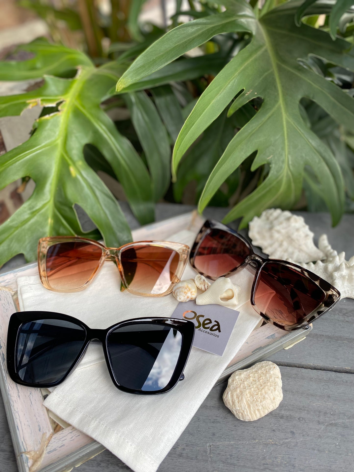 Gafas de sol vintage montura en pasta