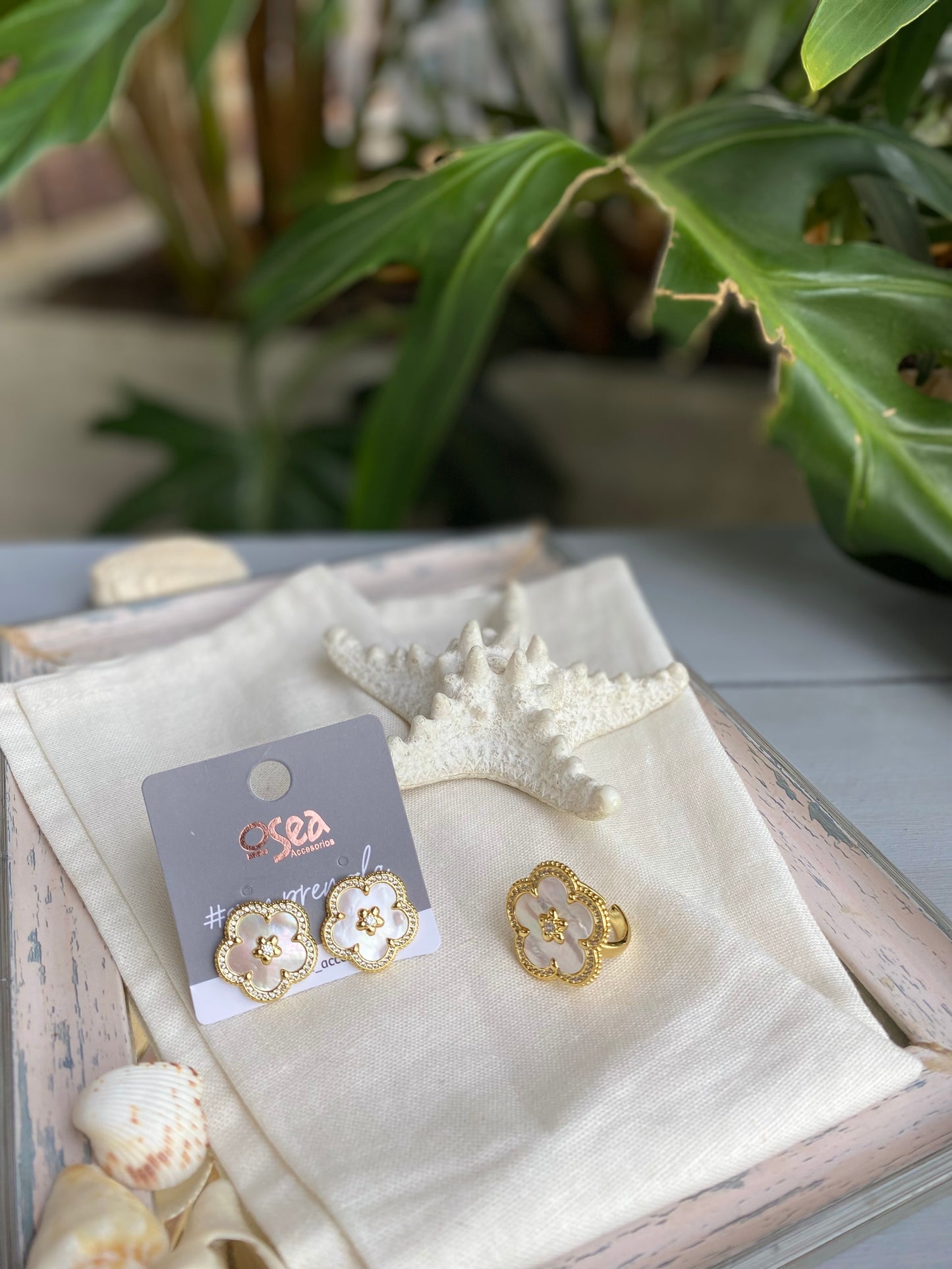 Set o conjunto anillo y topos flor nácar