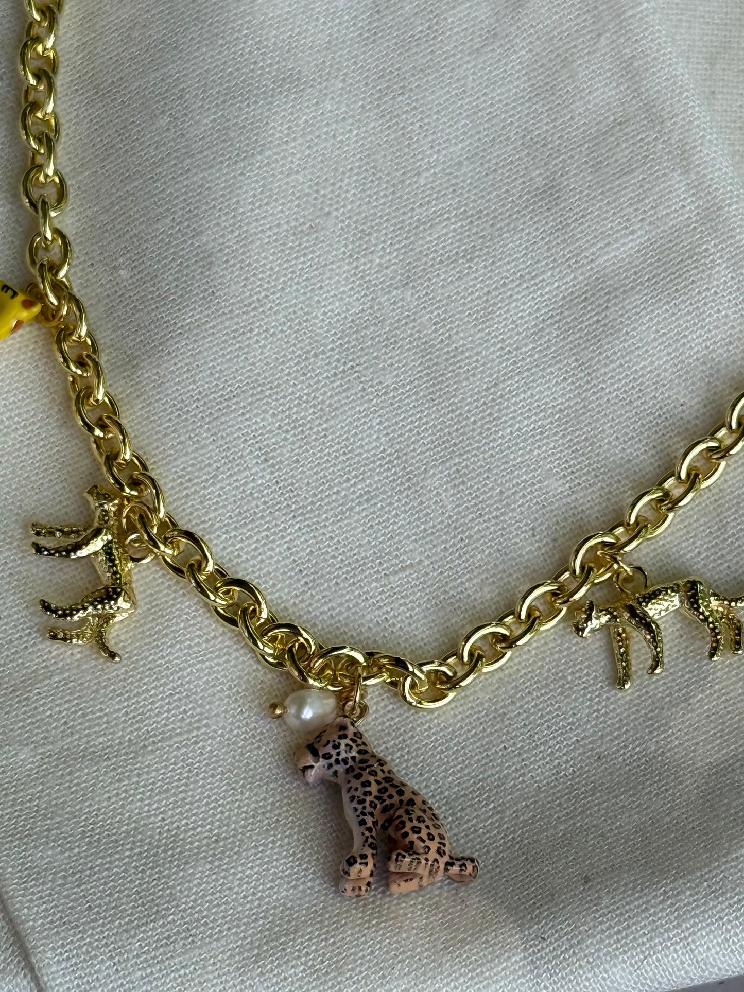 Collar safari rodinado