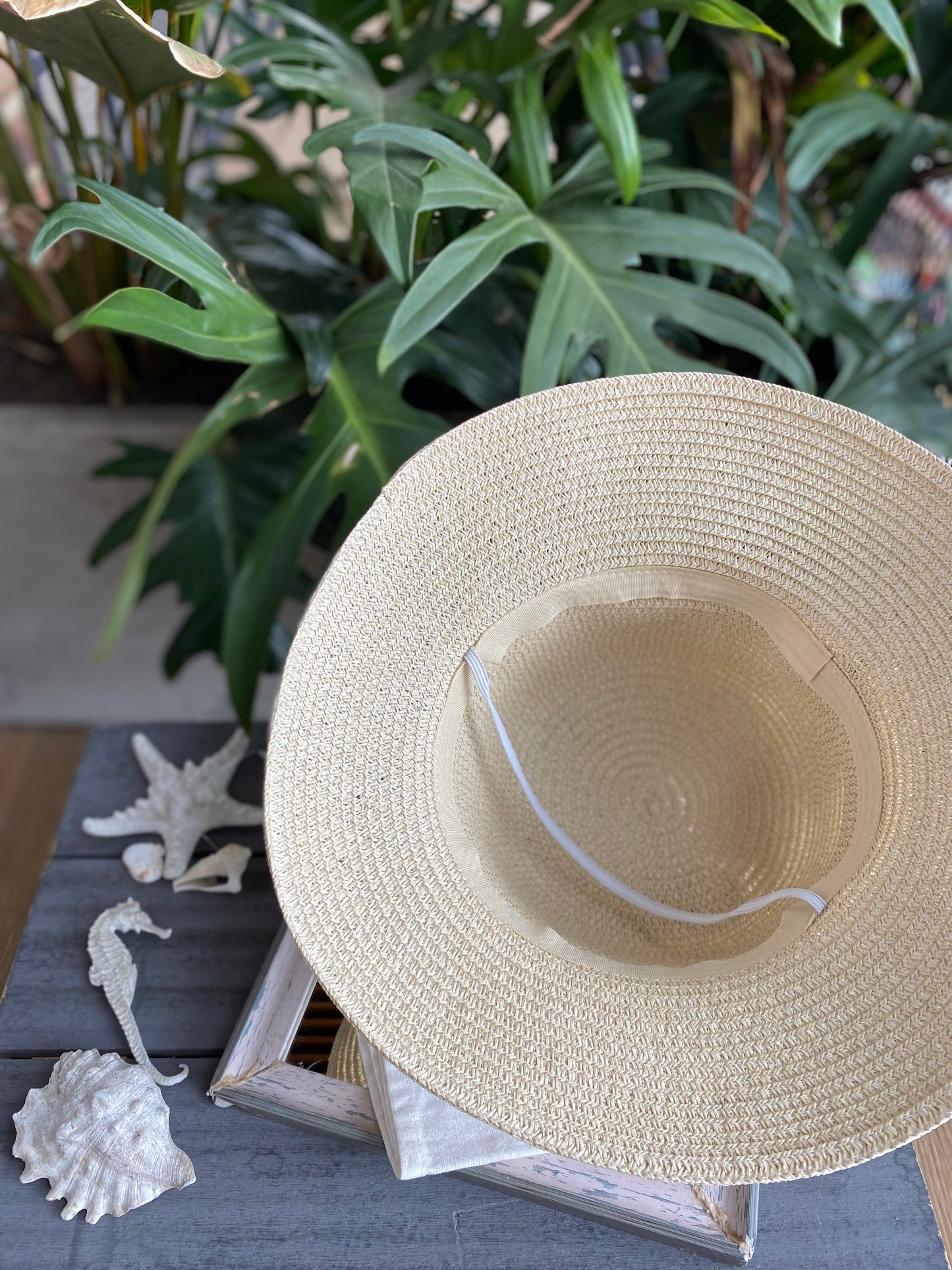 Sombrero cinta negra moño