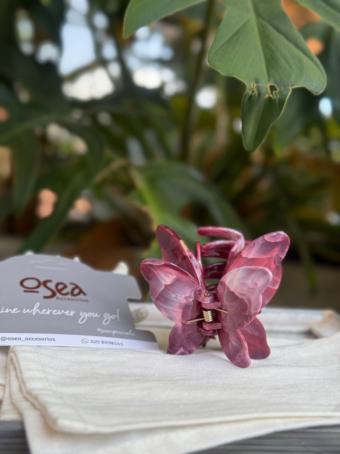 Caimán tipo nácar mariposa