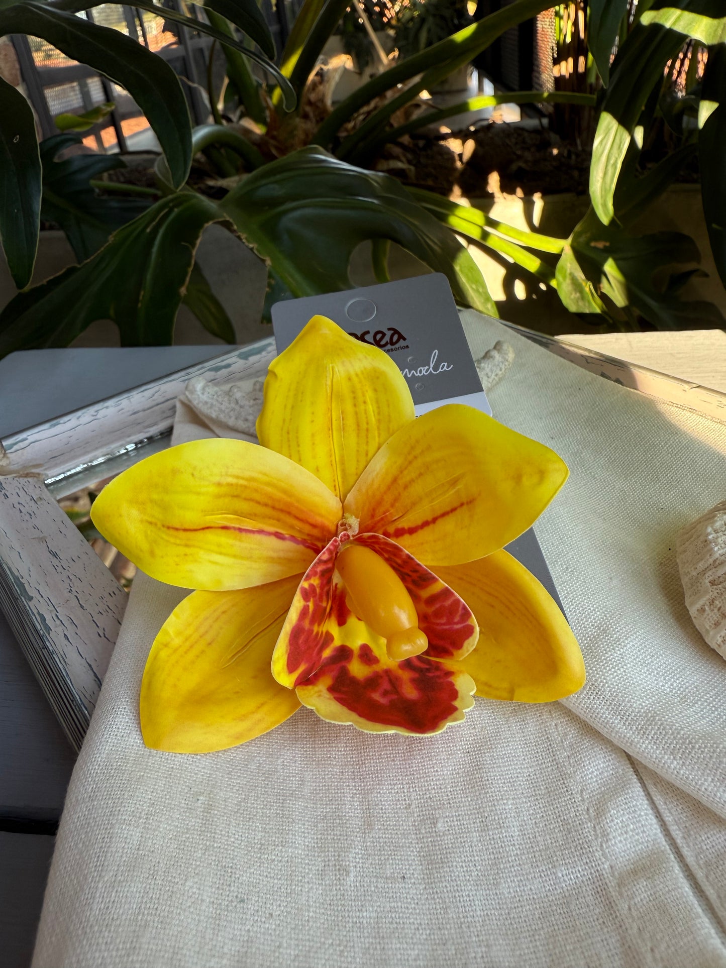 Flor con pinza pico de loro