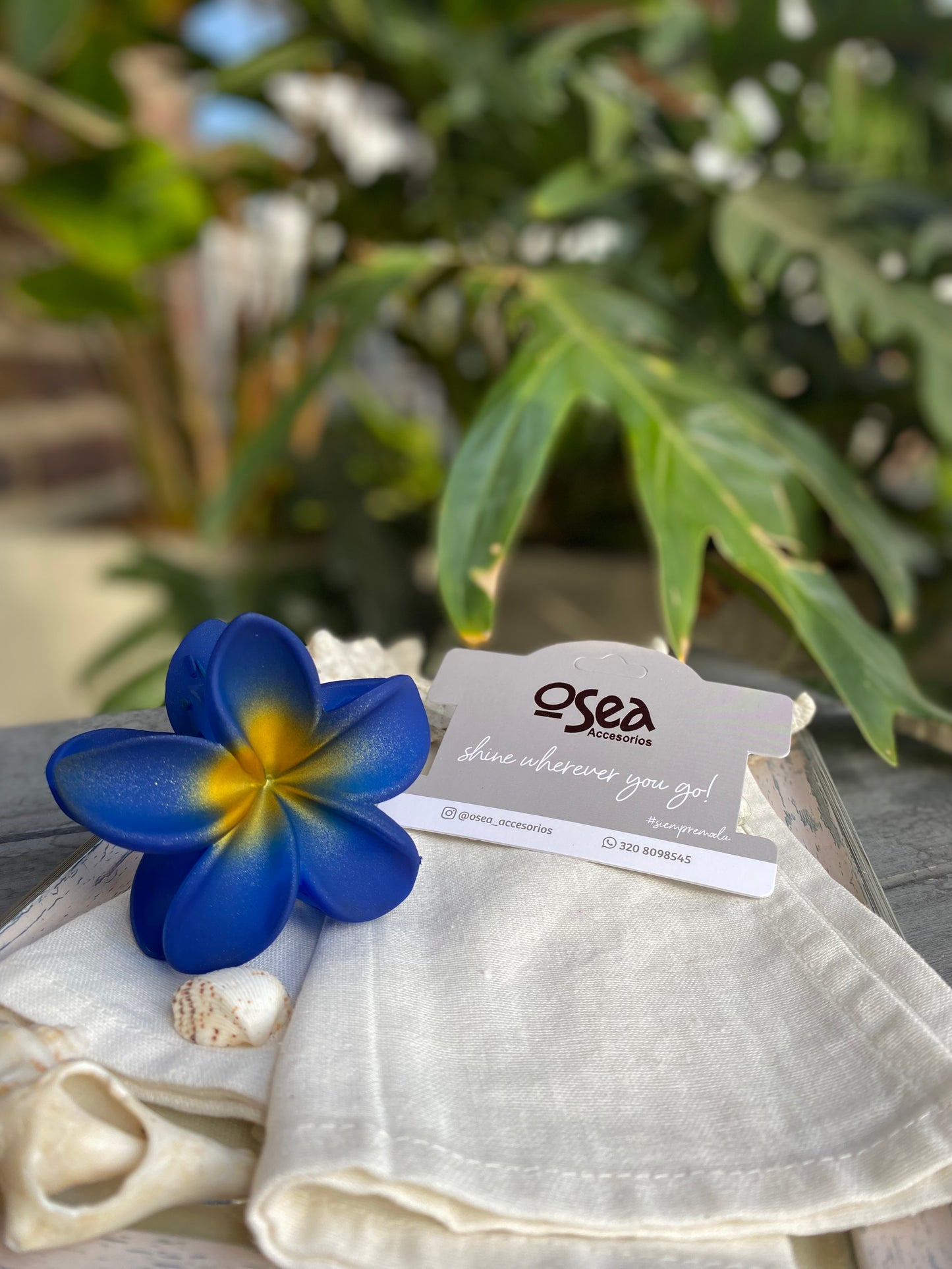 Caimán flor en pasta degradé