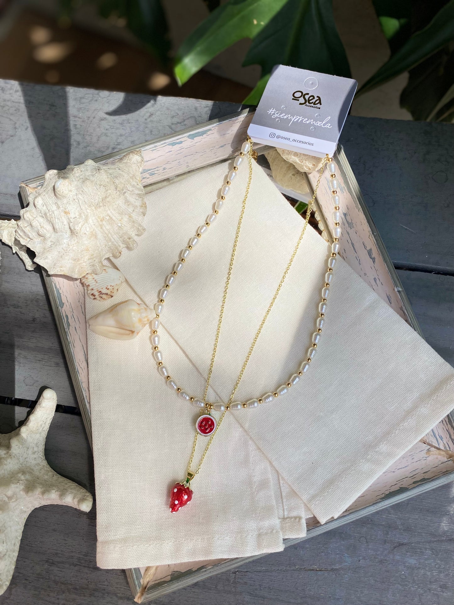 Set choker y cadena con dijes de frutas