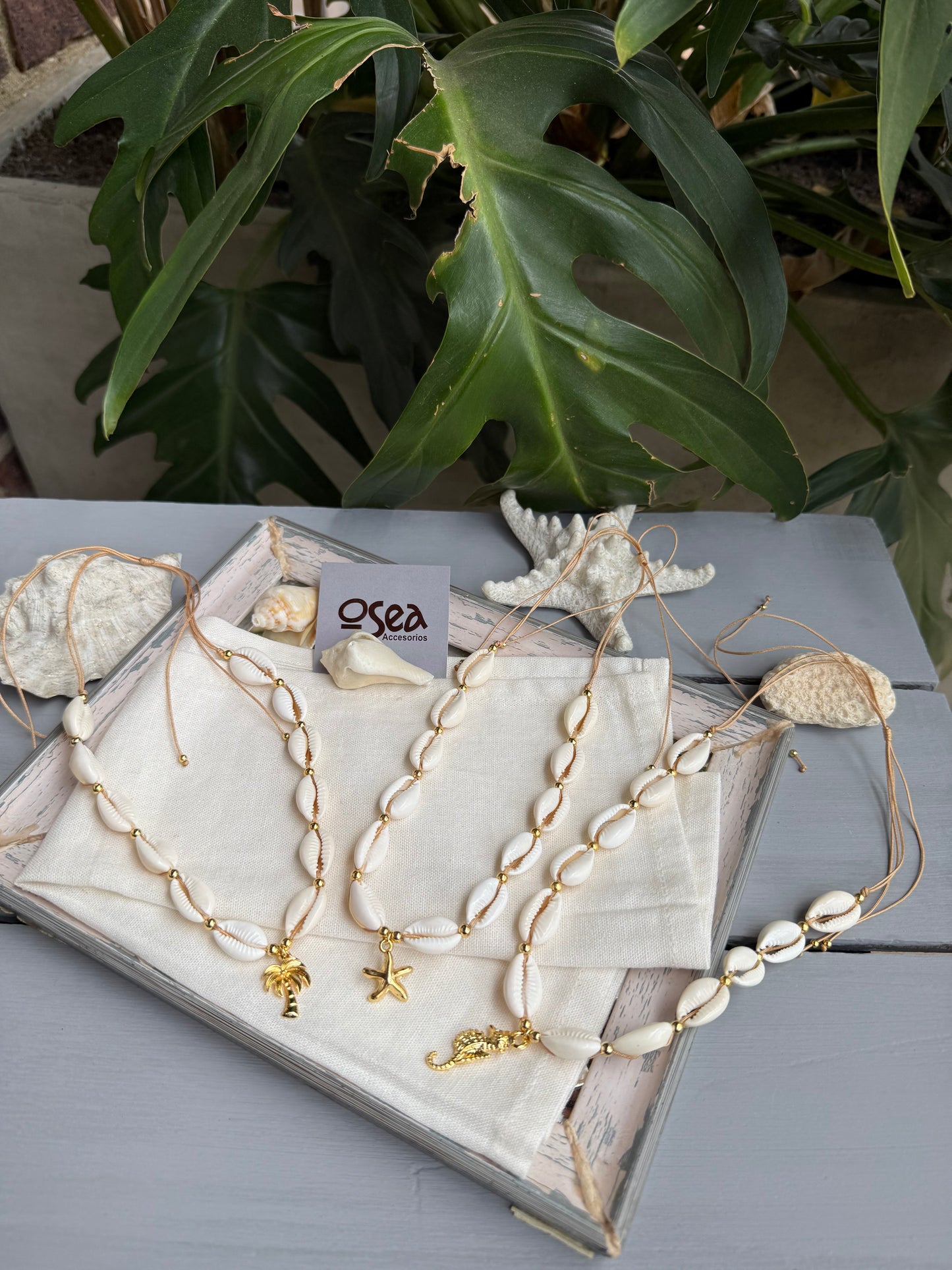 Choker en hilo con conchas, balín y dije