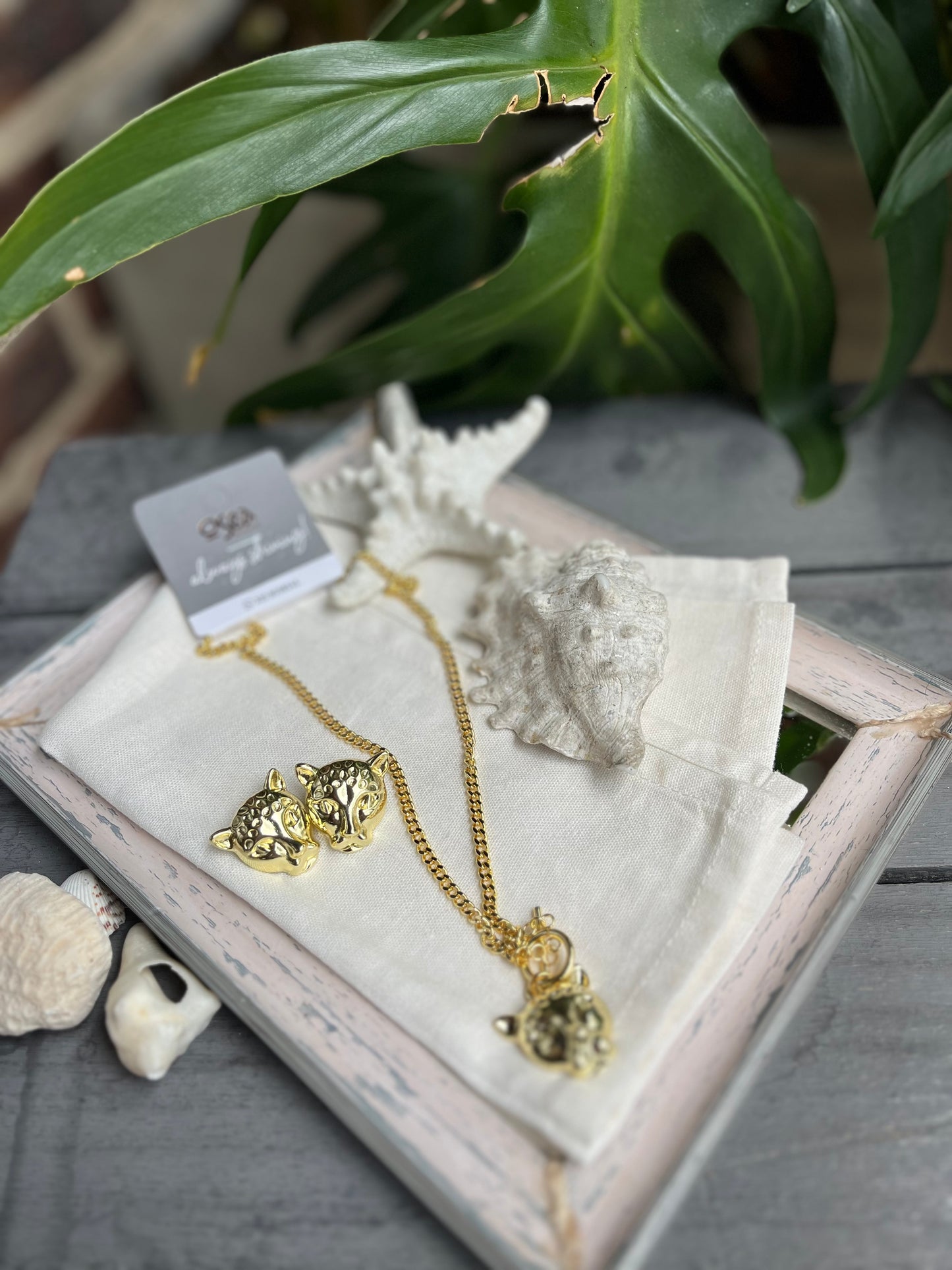 Set topos y cadena pantera