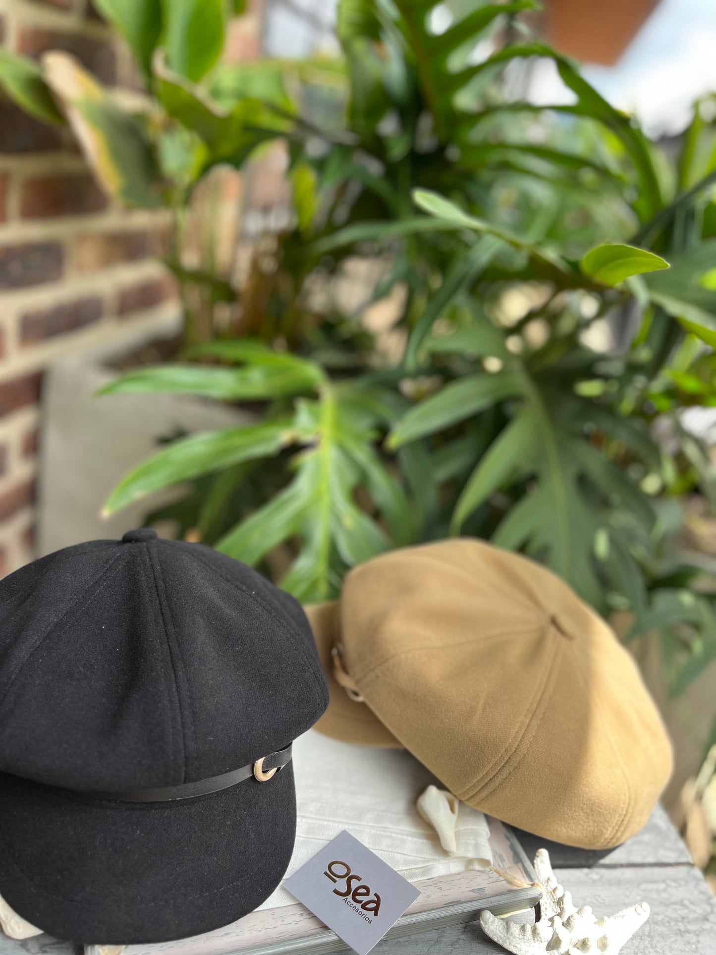 Boina parís con visera