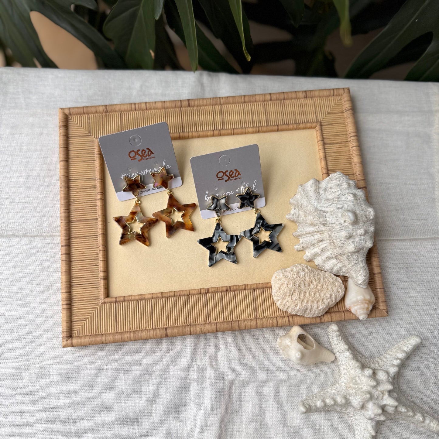 Arete doble estrella