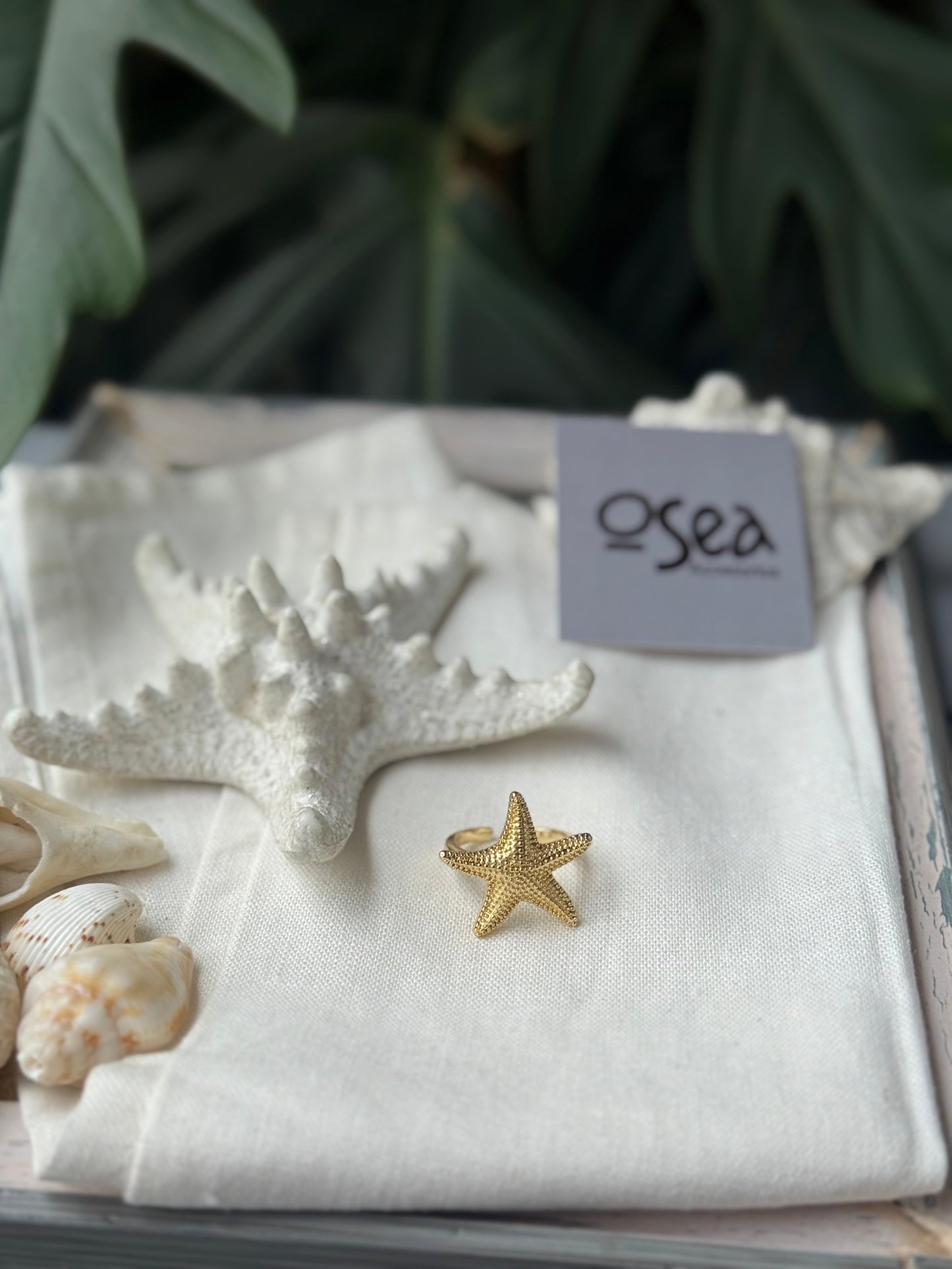 Anillo graduable estrella de mar