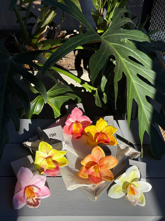 Flor con pinza pico de loro