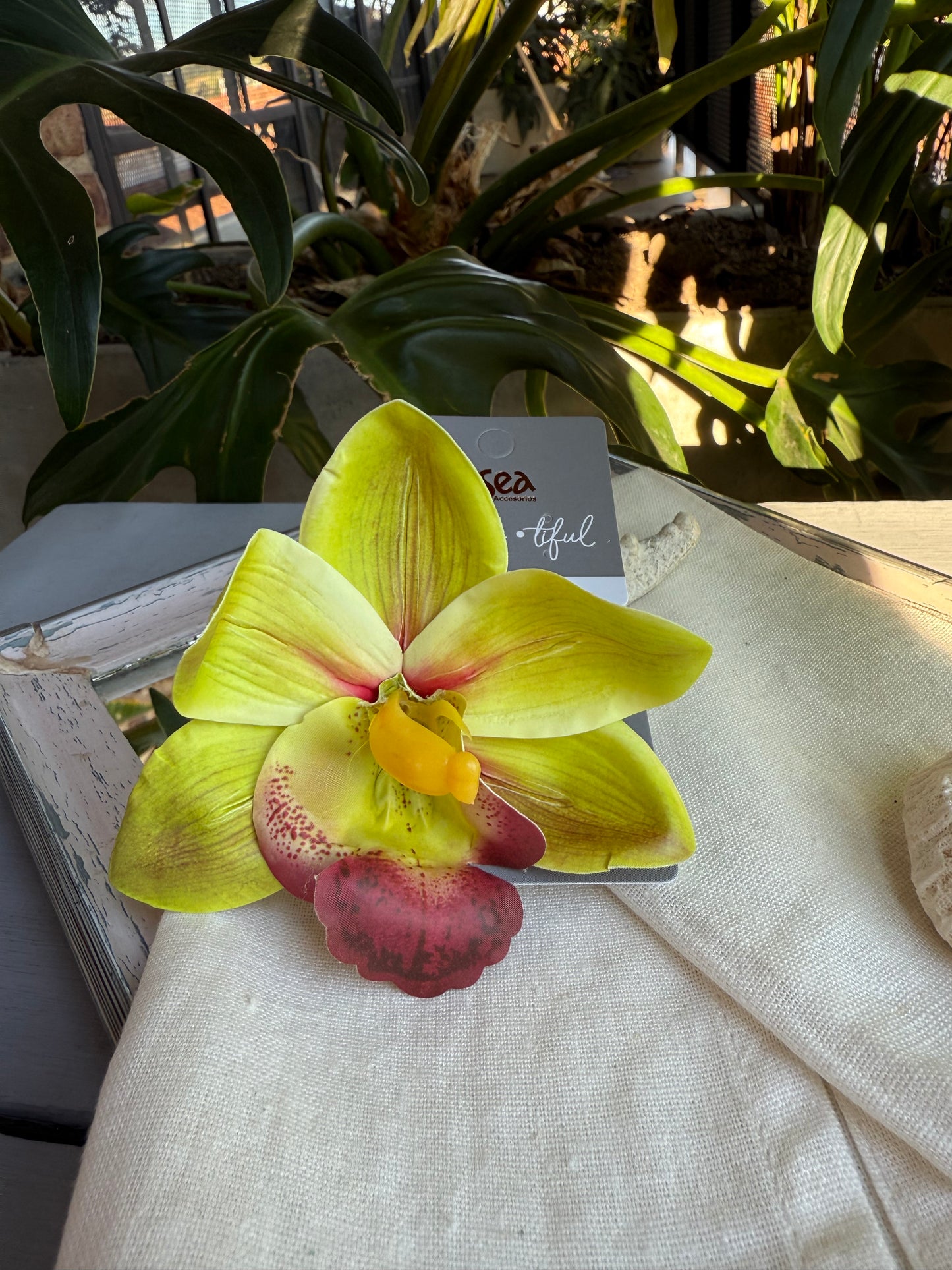 Flor con pinza pico de loro