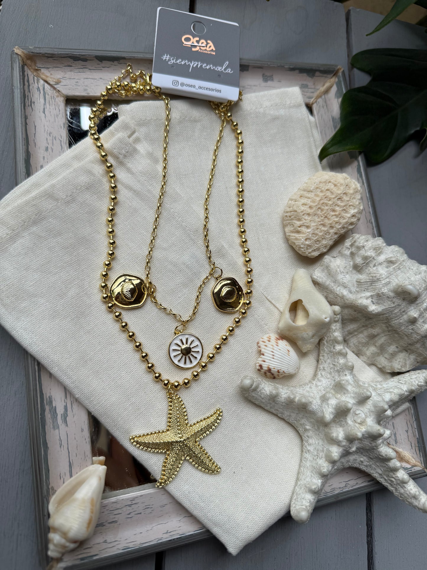 Collar rodinado doble dijes marinos