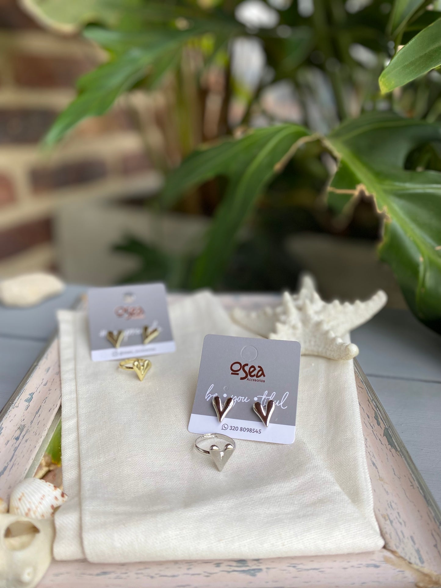 Set rodinado de anillo y topos de corazón