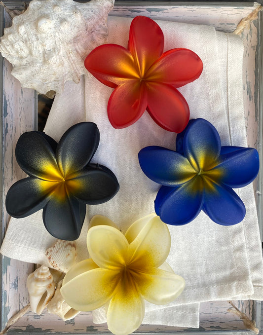 Caimán flor en pasta degradé