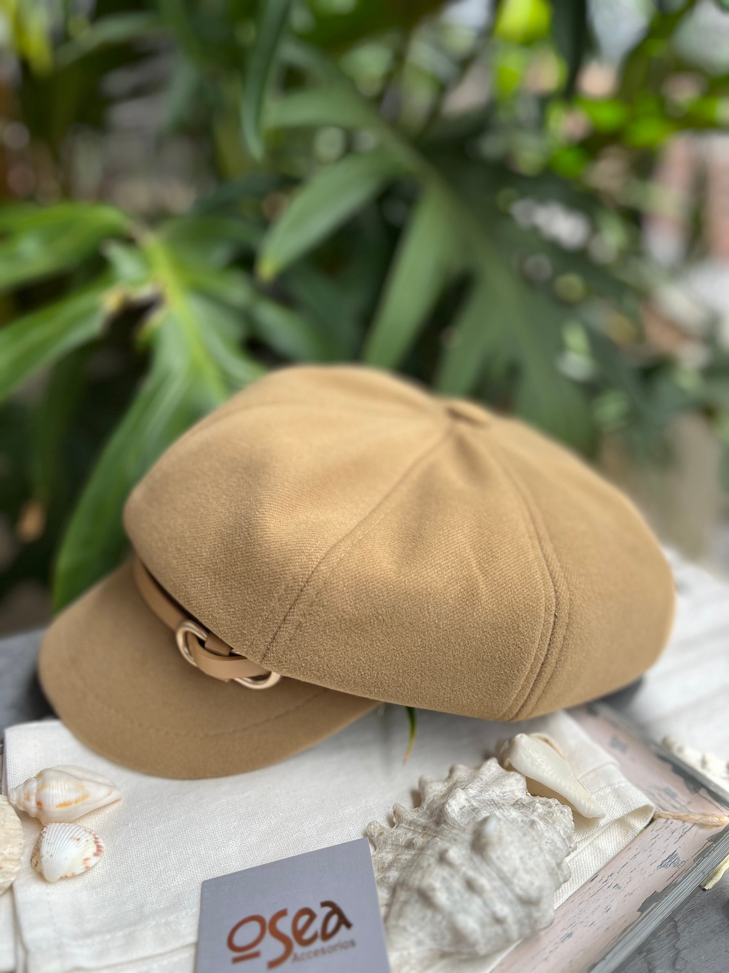 Boina parís con visera