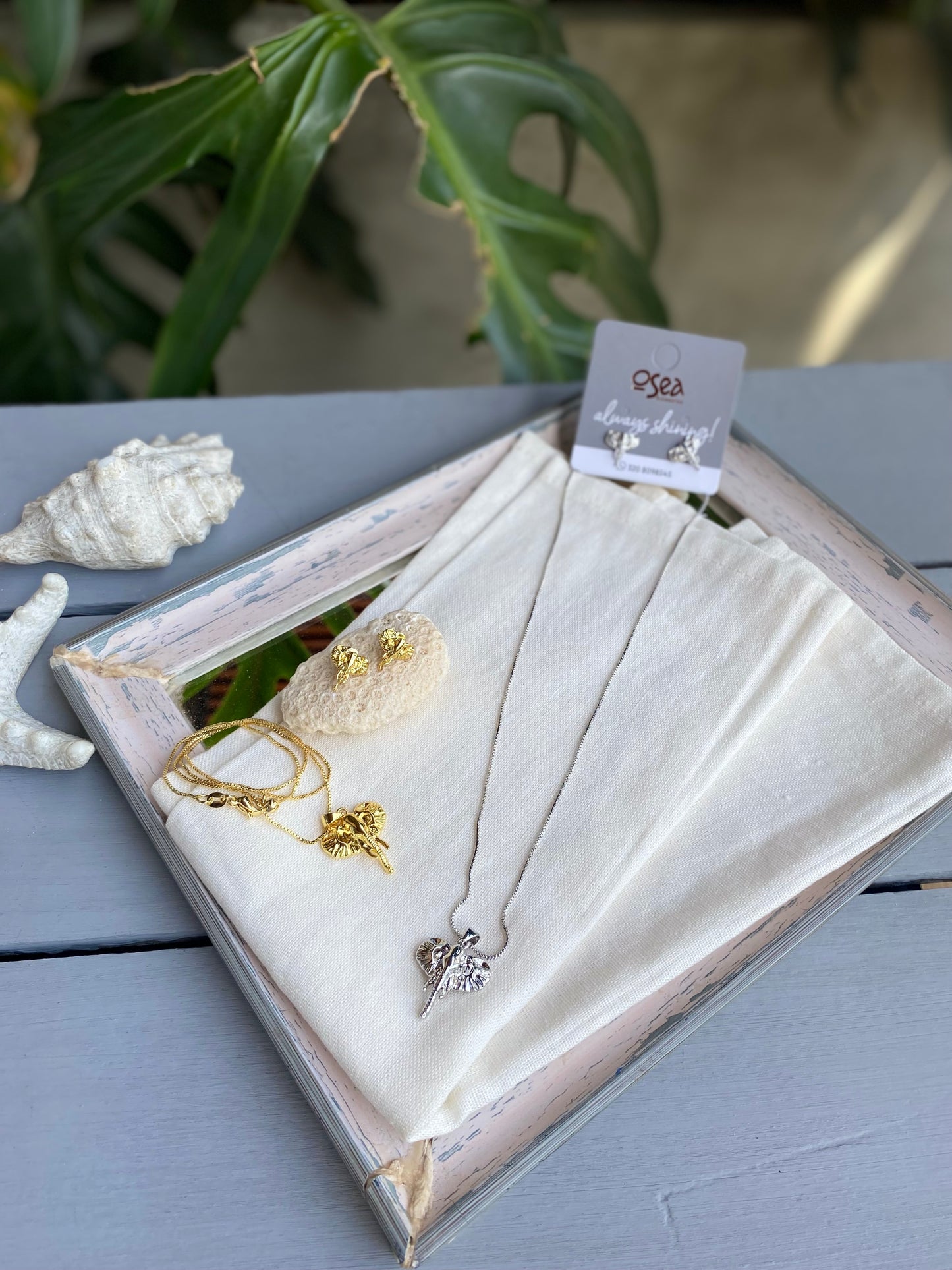 Set rodinado collar y topos elefante