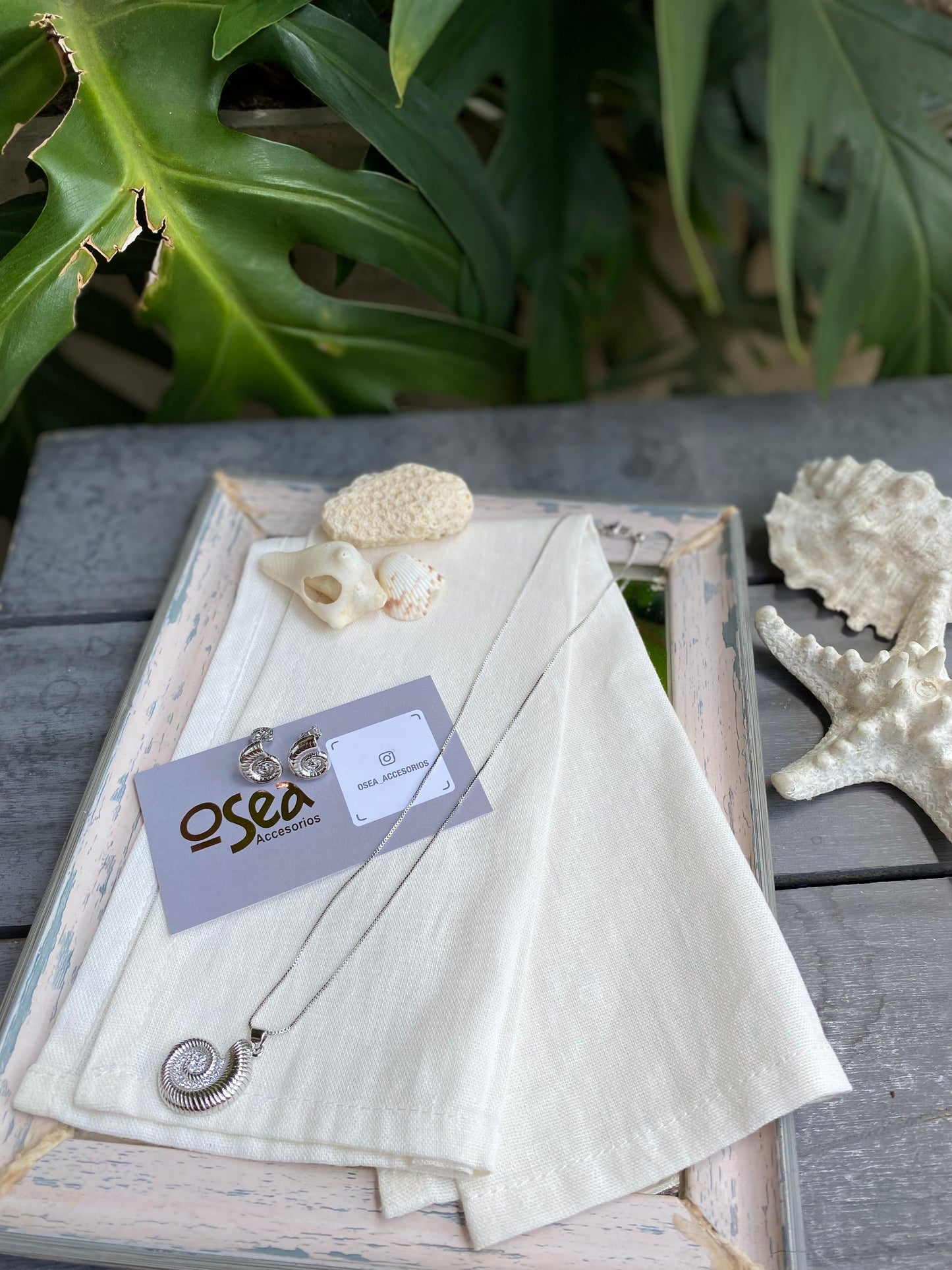 Set collar y topos caracol de mar