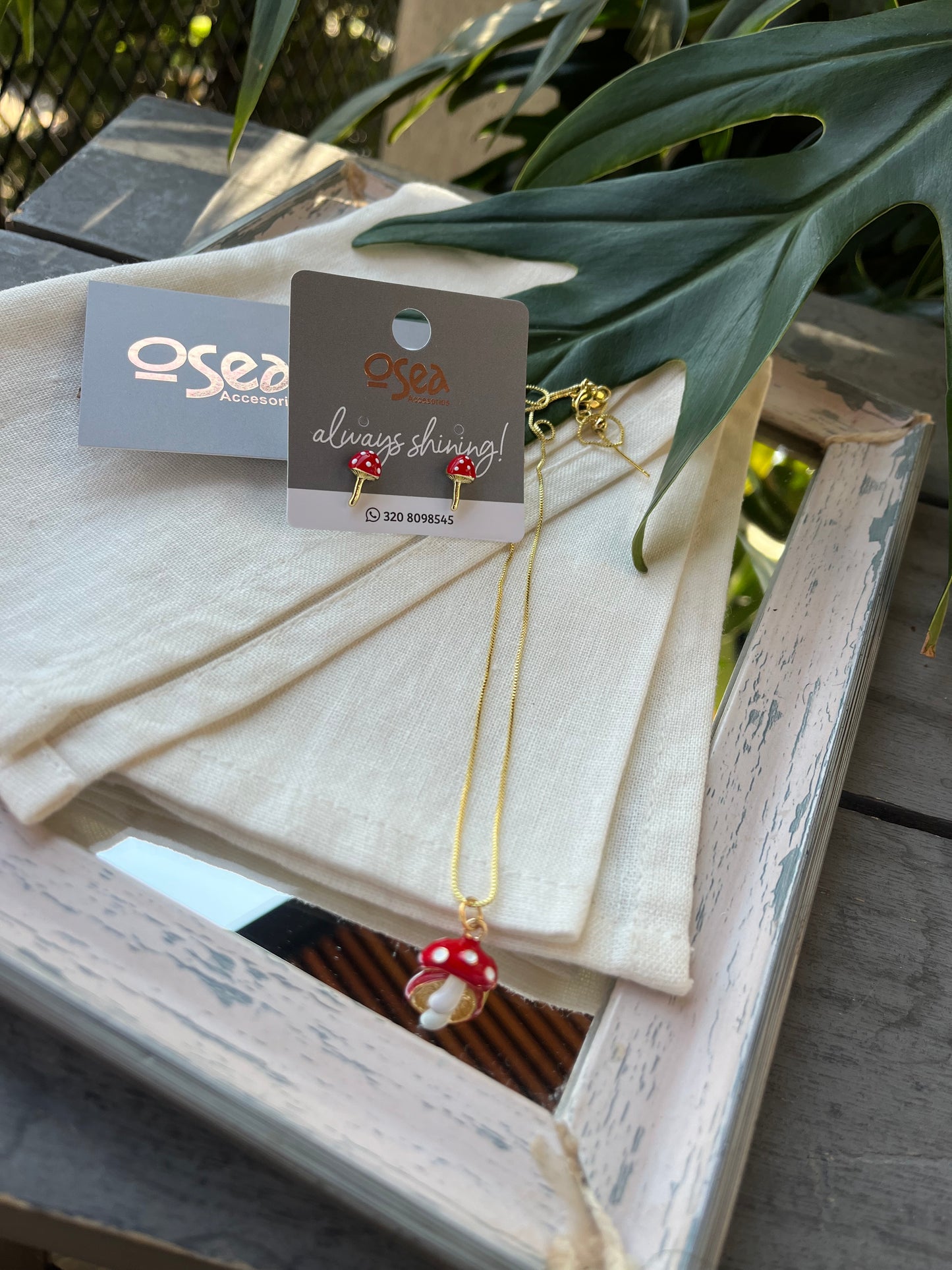 Set de cadena y topos en hongo rodinados.
