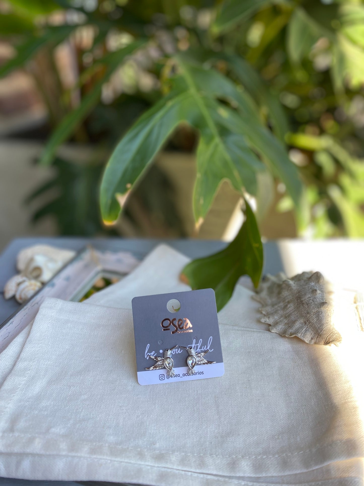 Topos rodinados de colibrí con piedras