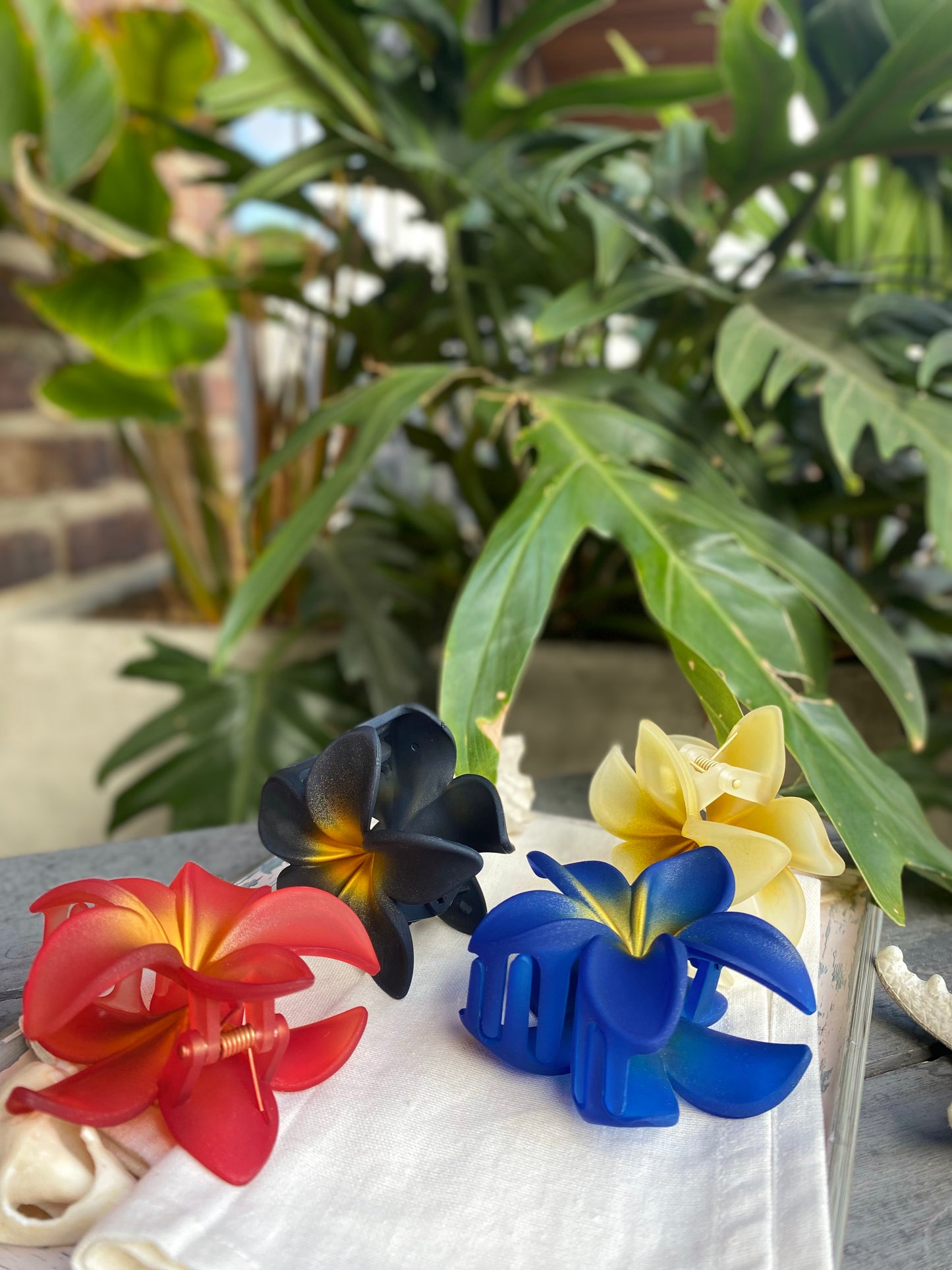 Caimán flor en pasta degradé