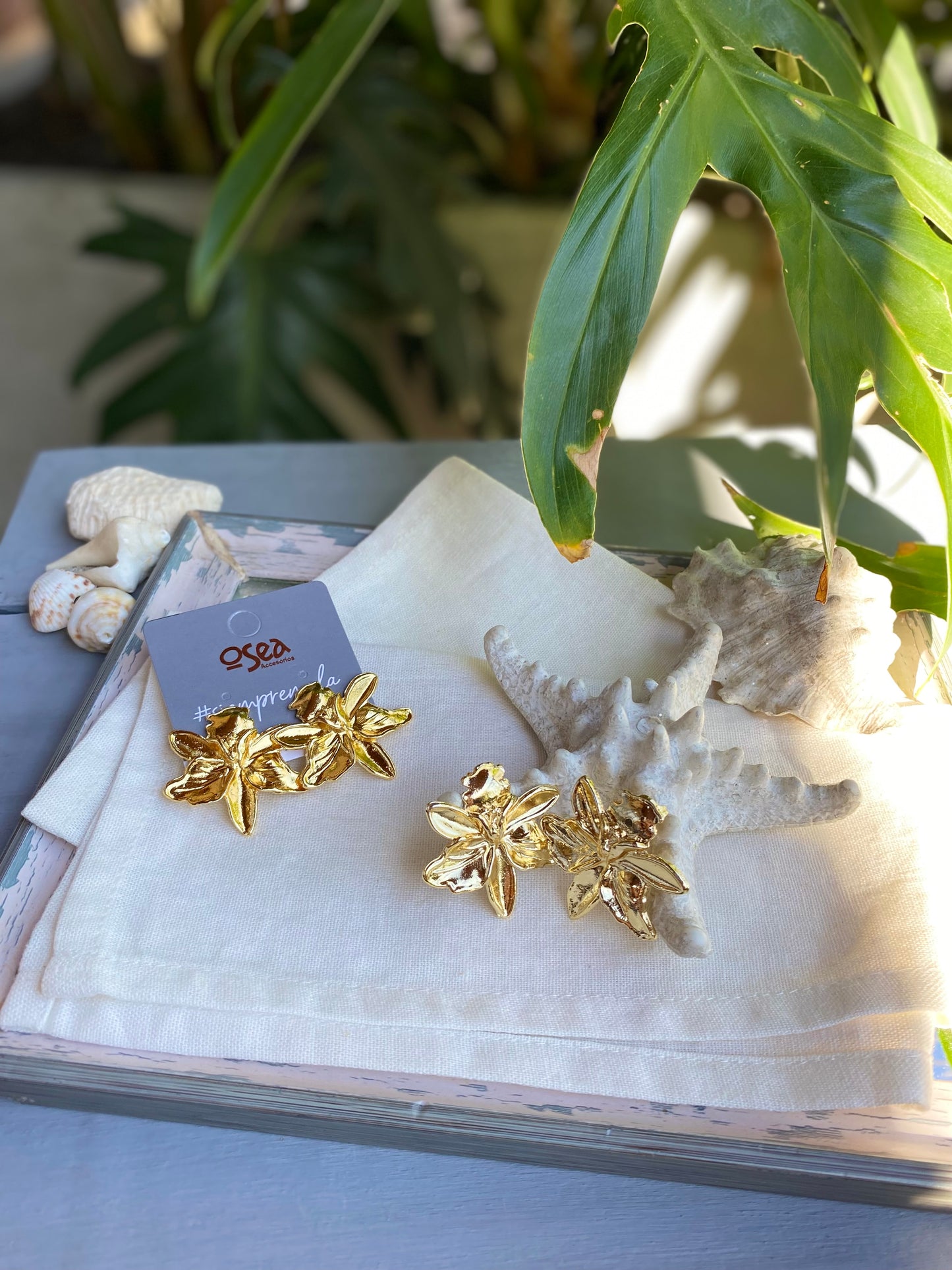 Topos de orquídea baño en oro 24k