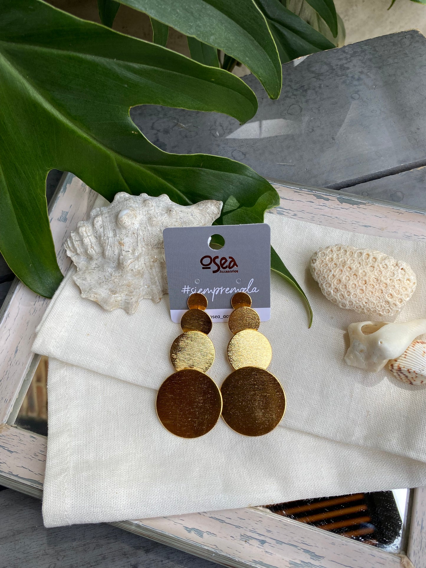 Aretes largos círculos en bronce