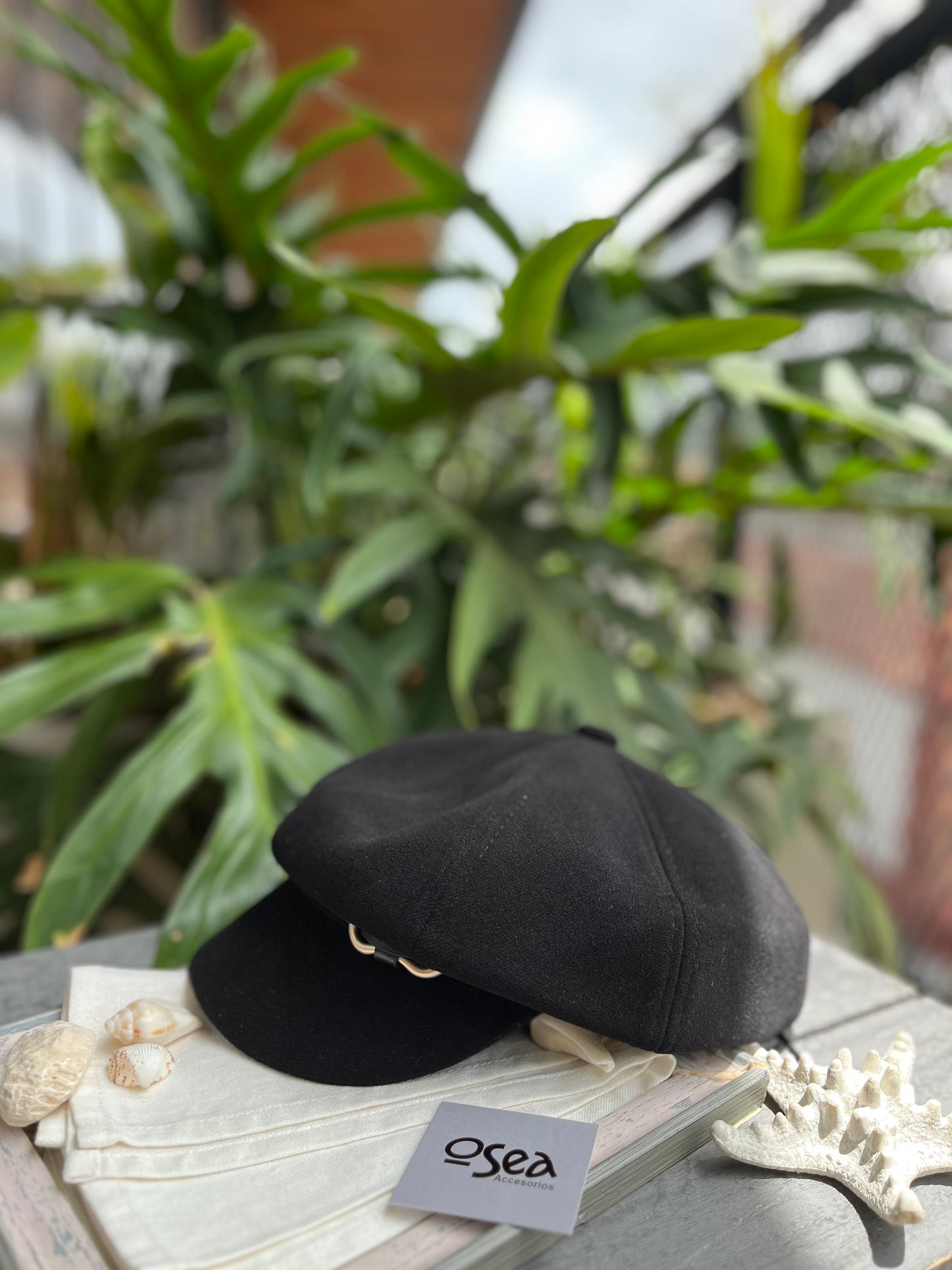 Boina parís con visera
