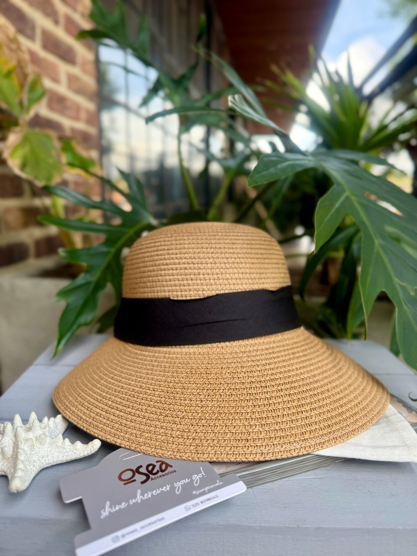 Sombrero tipo visera