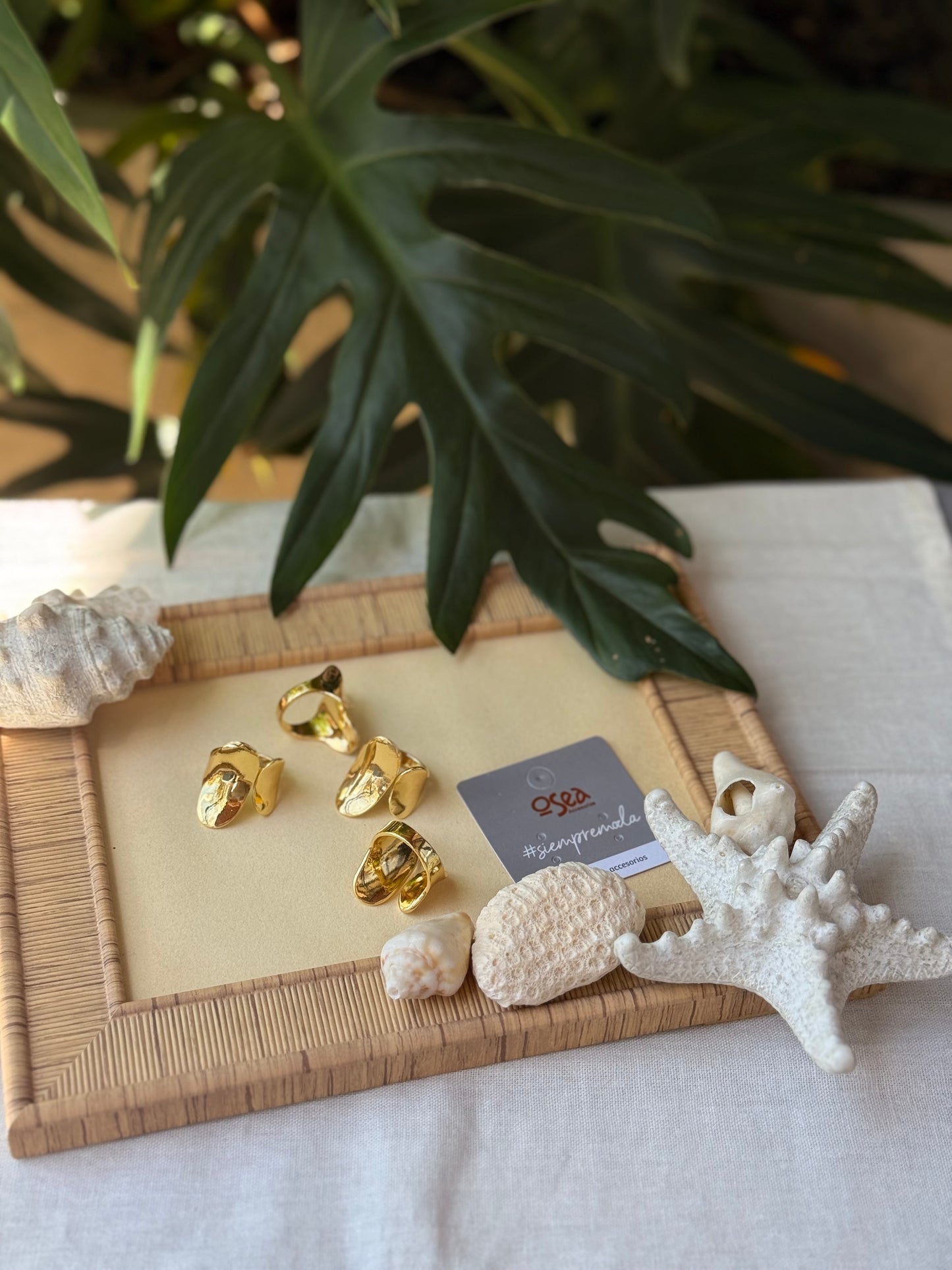 Anillo rodinado forma óvalo