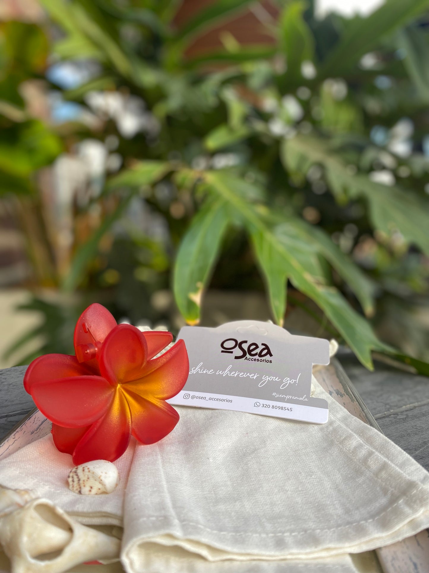 Caimán flor en pasta degradé