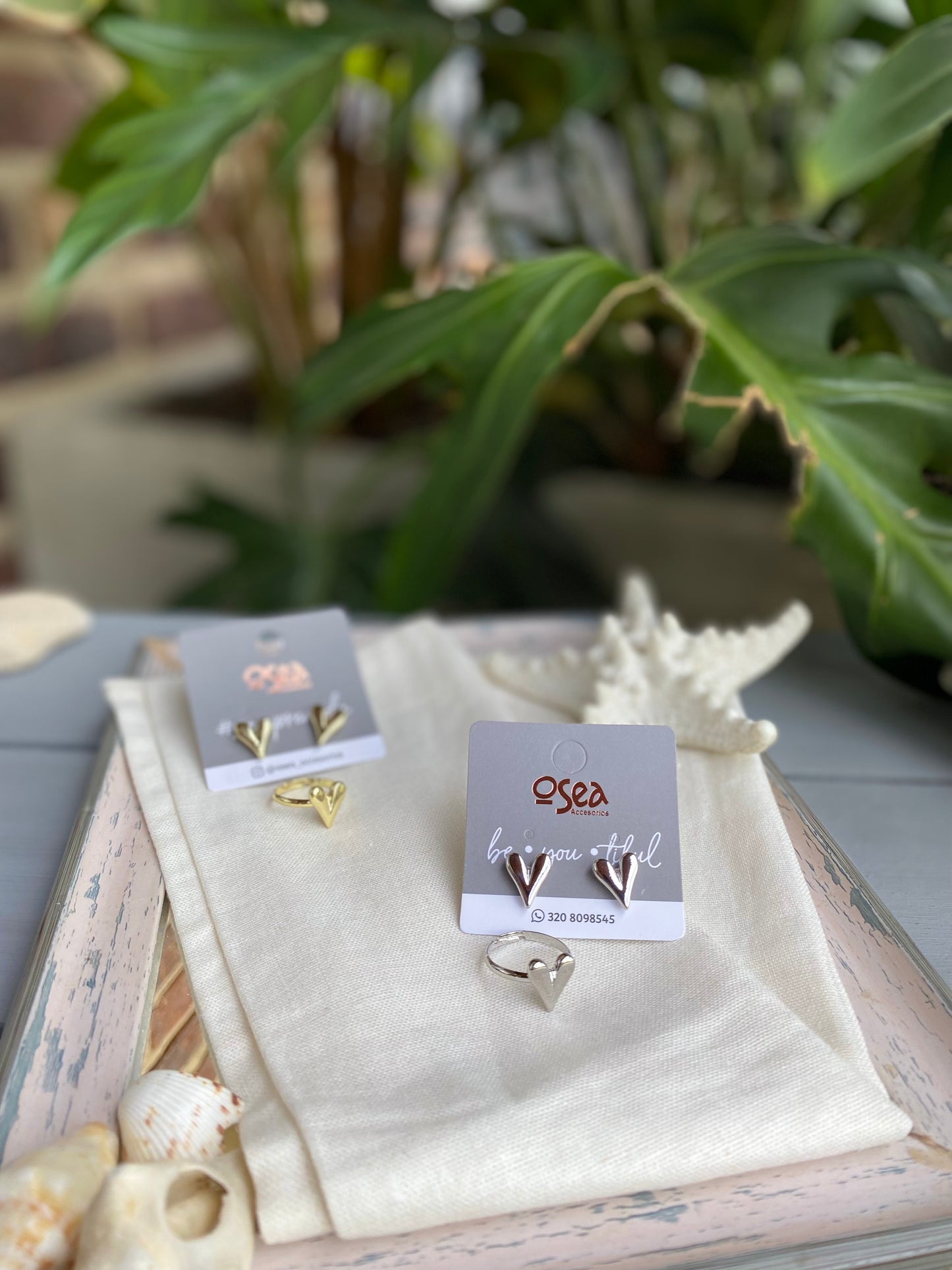 Set rodinado de anillo y topos de corazón