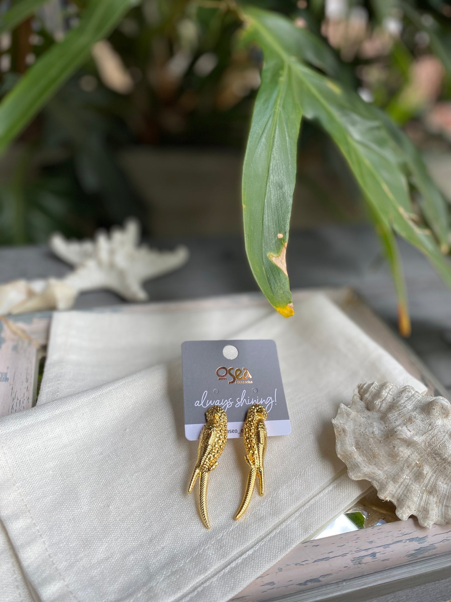 Aretes de loros baño en oro y plata
